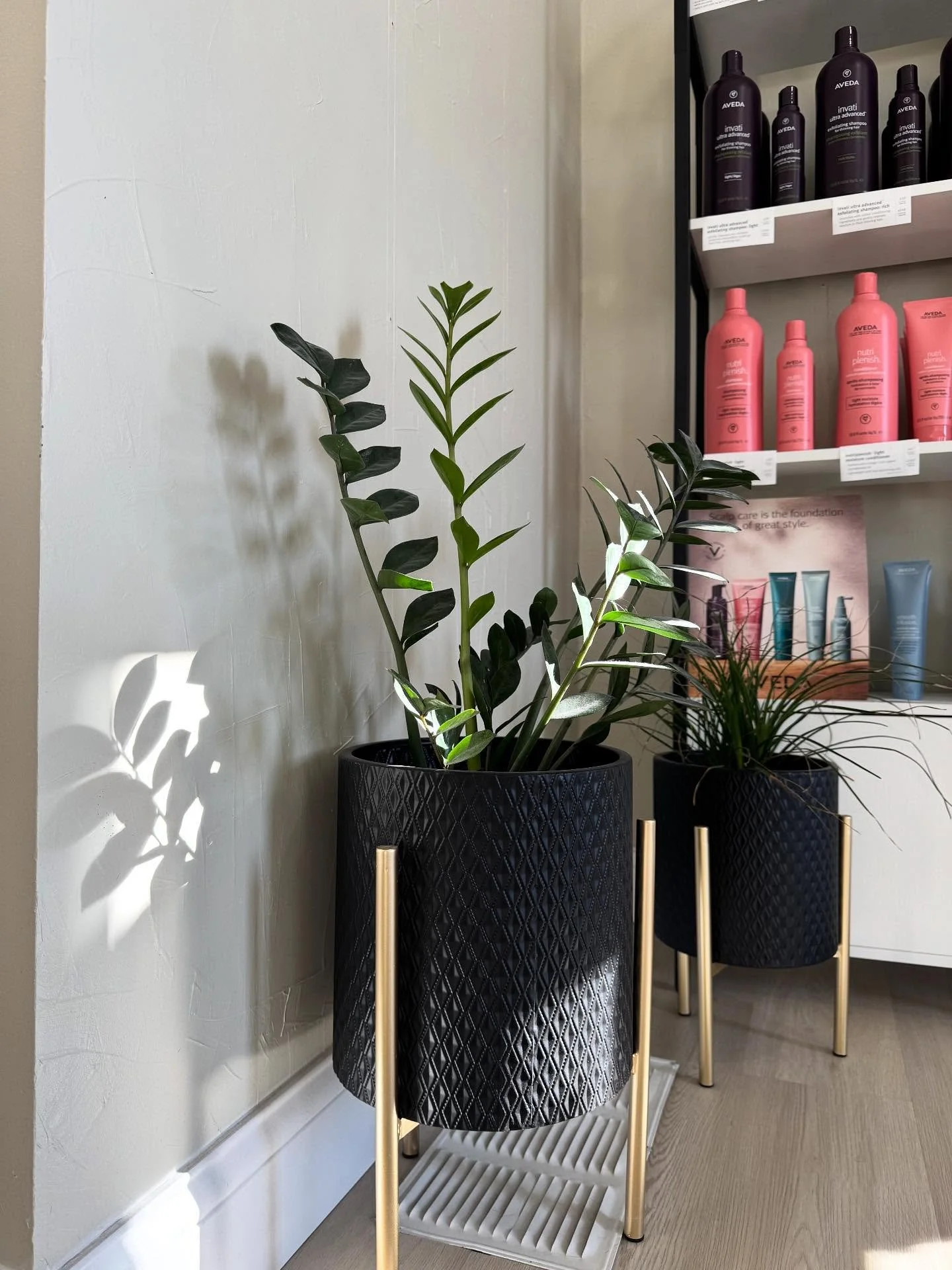 Find your Element 🌿
Where confidence grows + friendships flourish ✨
——
#downtownmidlandmi #midlandmi #michigansalon #avedasalon #avedaartist #aveda