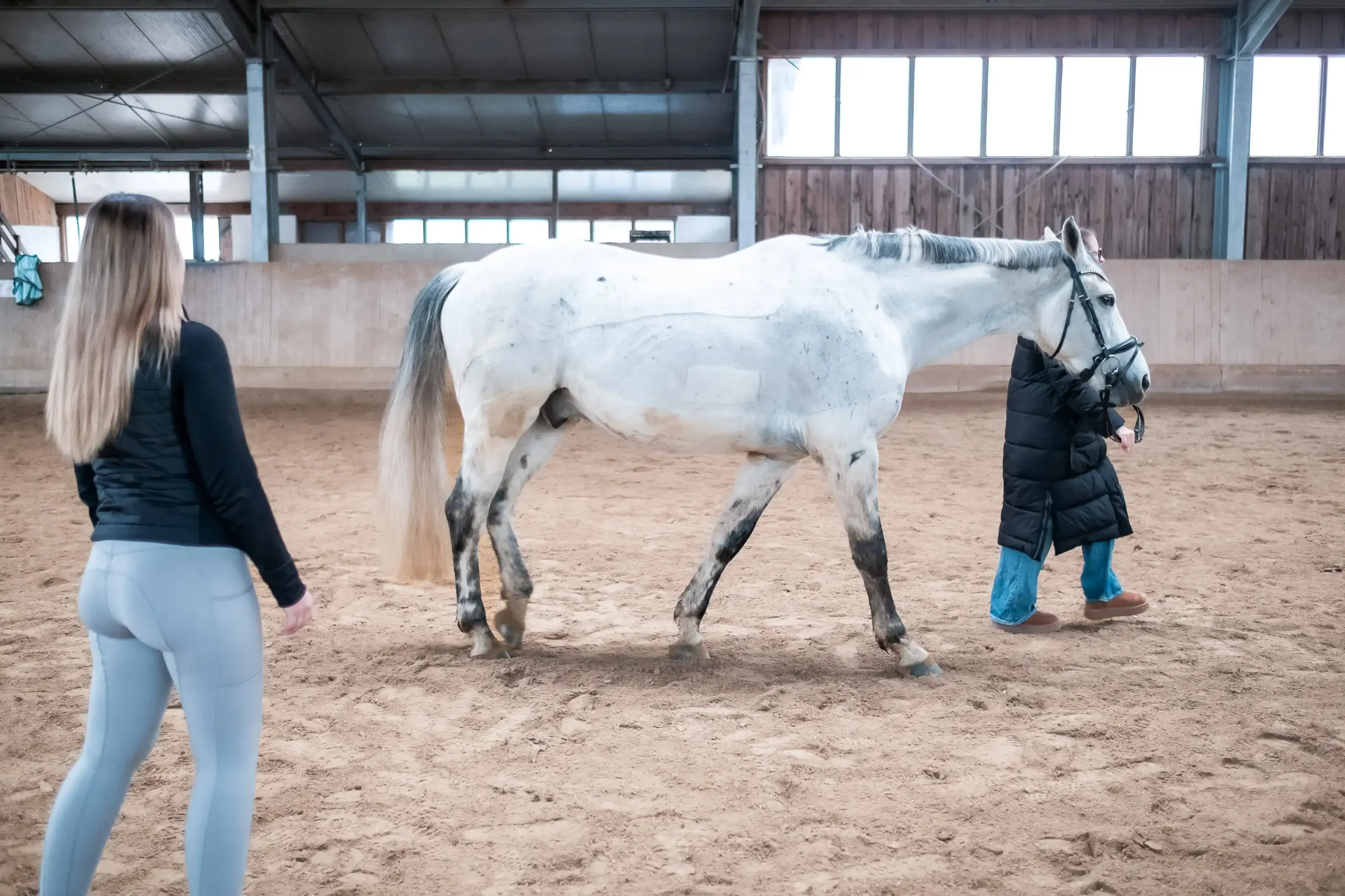 Personal Brand Shoot - EquiMotion Pferdephysio by limiloulu 