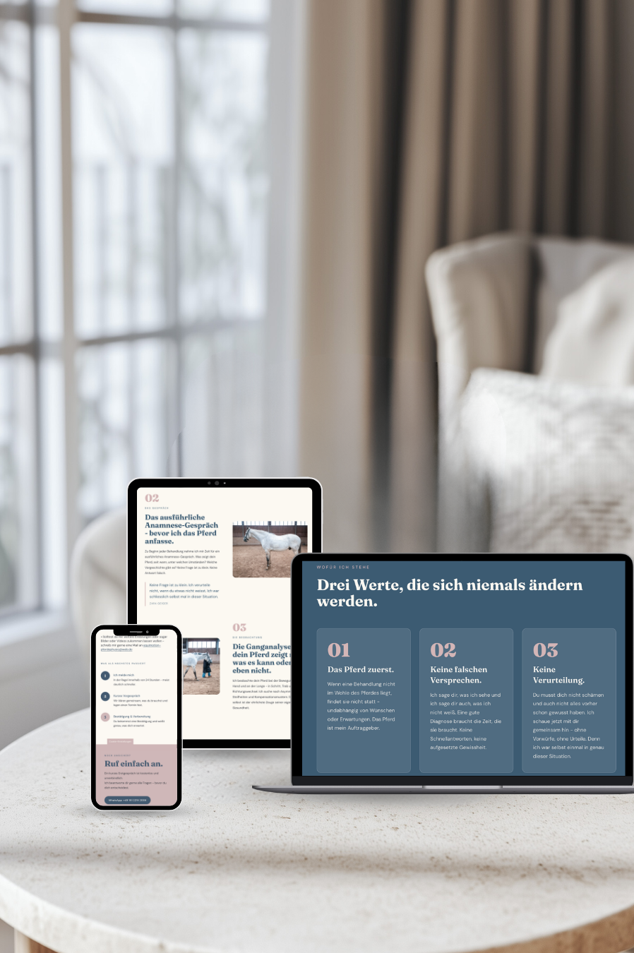 WEBDESIGN | EquiMotion Pferdephysio, Wendelstein