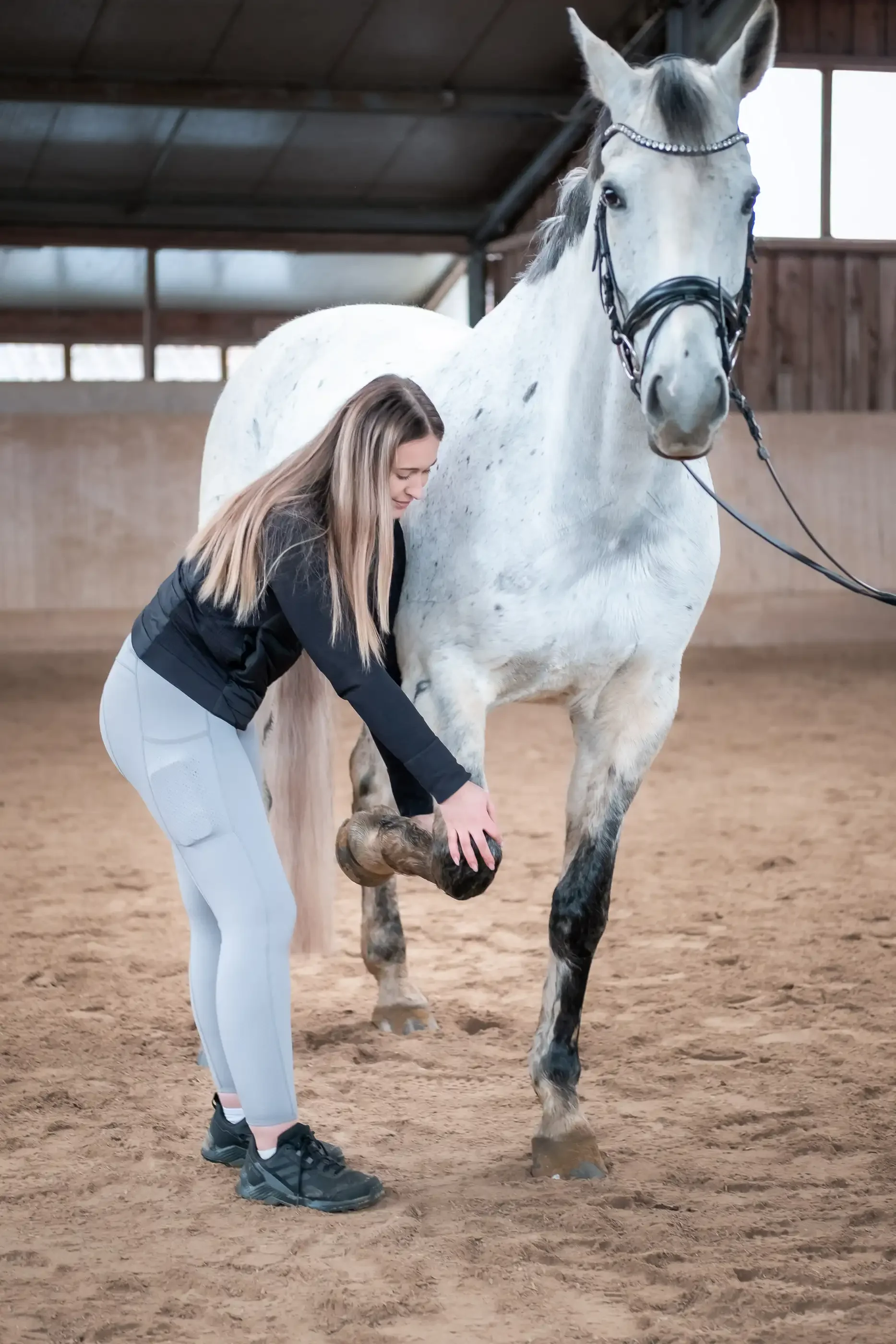 Personal Brand Shoot - EquiMotion Pferdephysio by limiloulu 