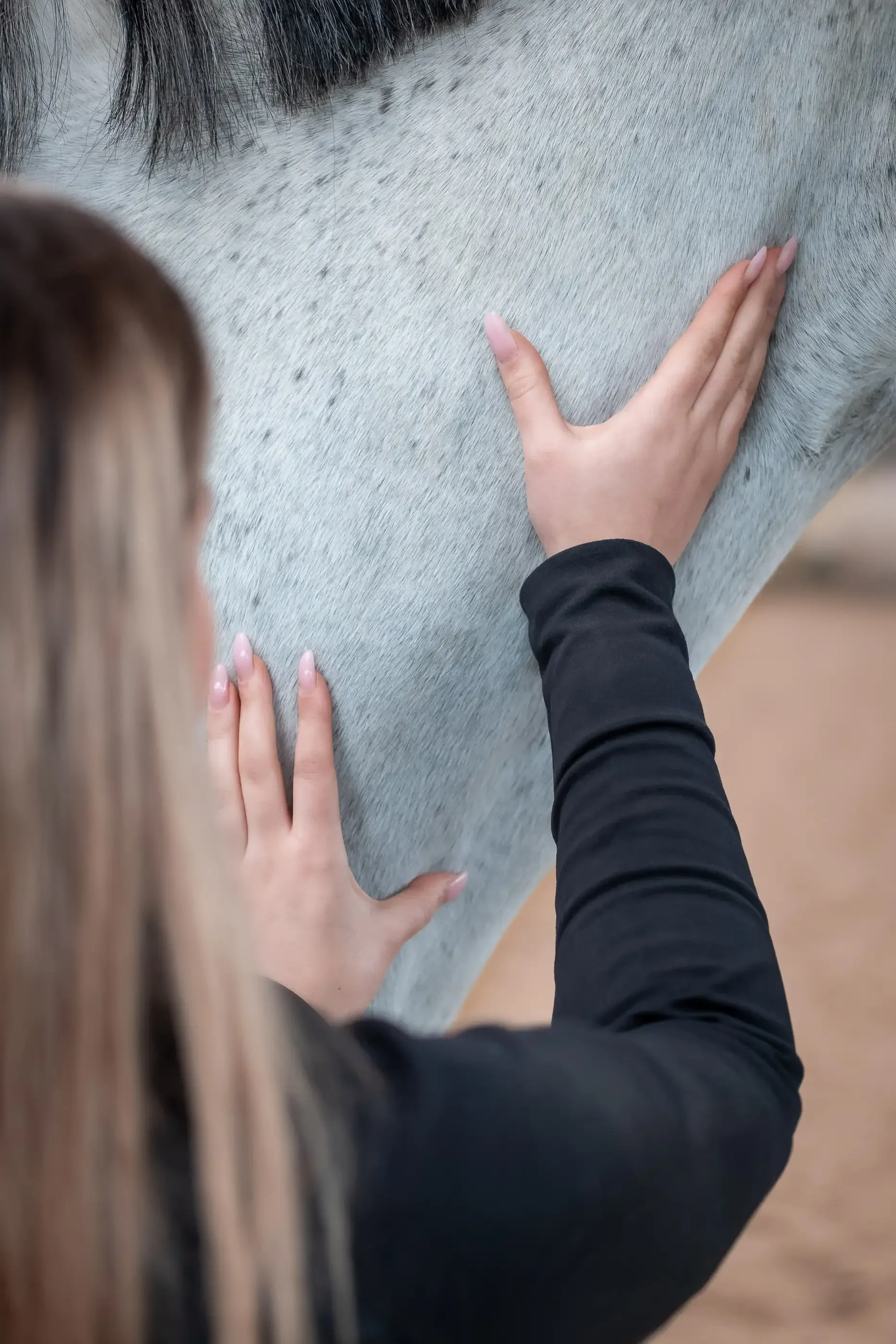 Personal Brand Shoot - EquiMotion Pferdephysio by limiloulu 