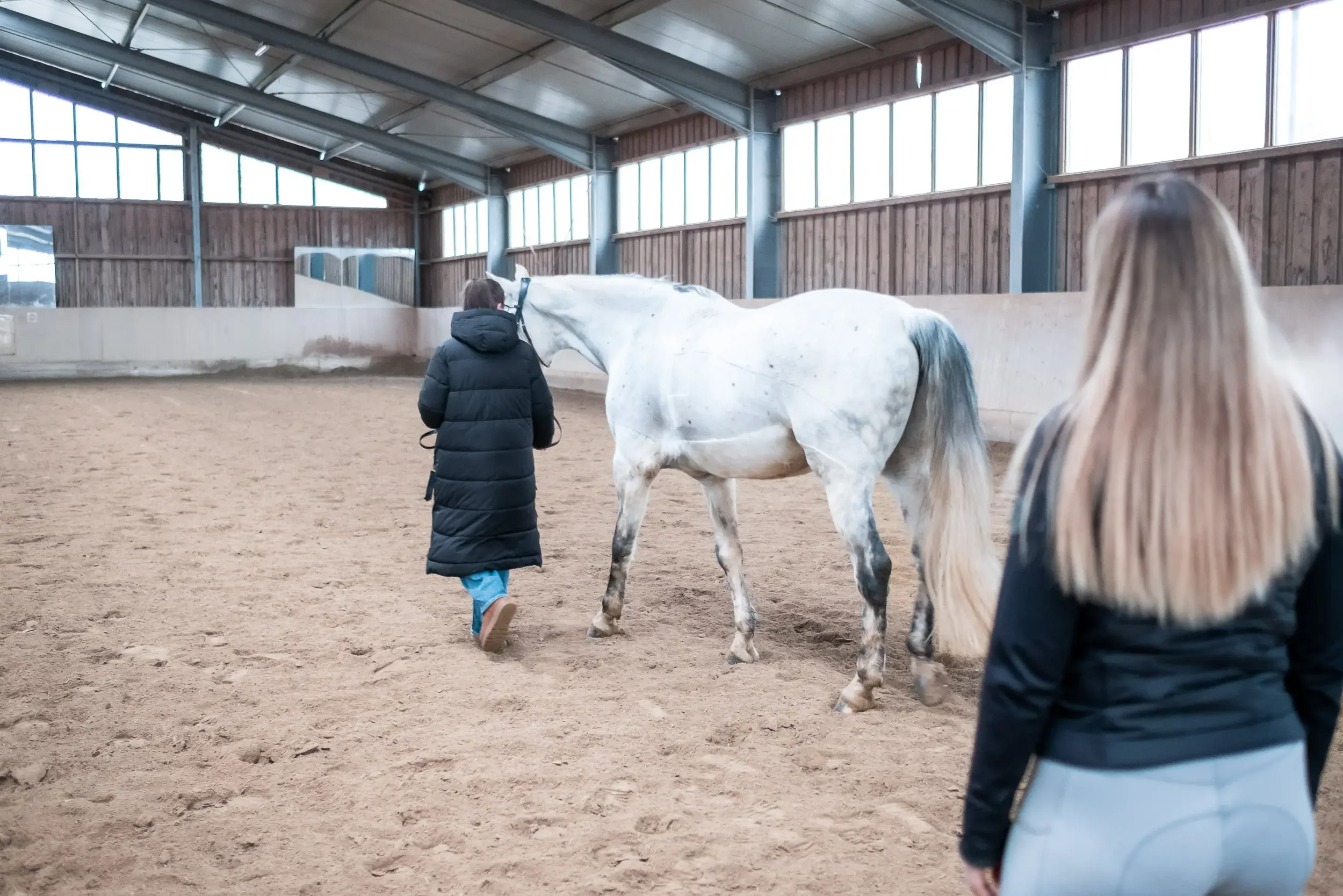 Personal Brand Shoot - EquiMotion Pferdephysio by limiloulu 
