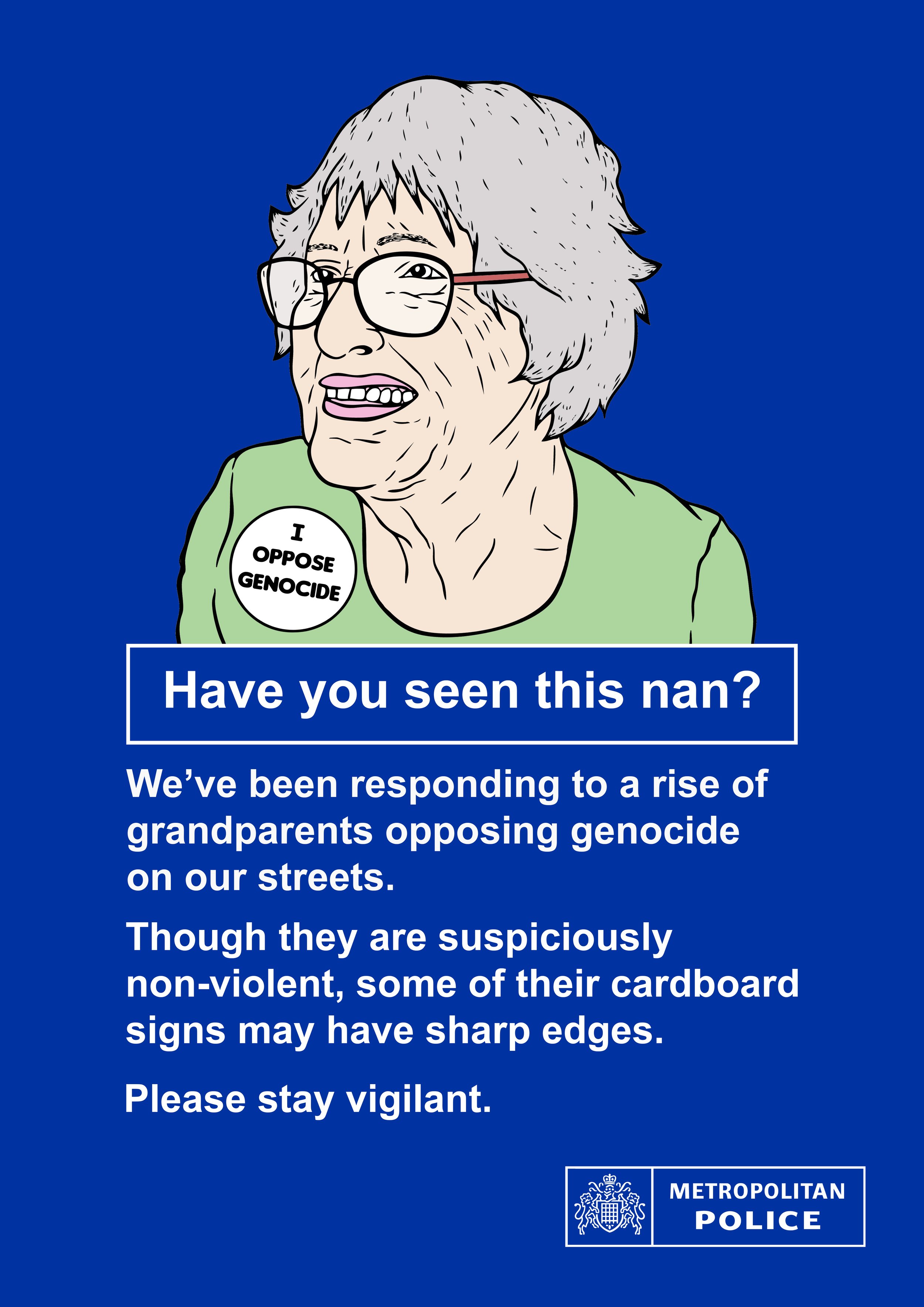 'Have you seen this nan?' Poster