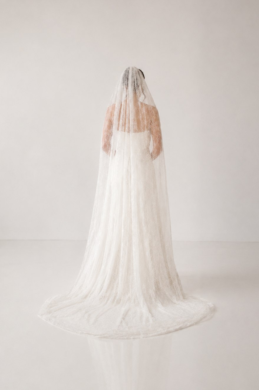 Lace Veil with Glitter