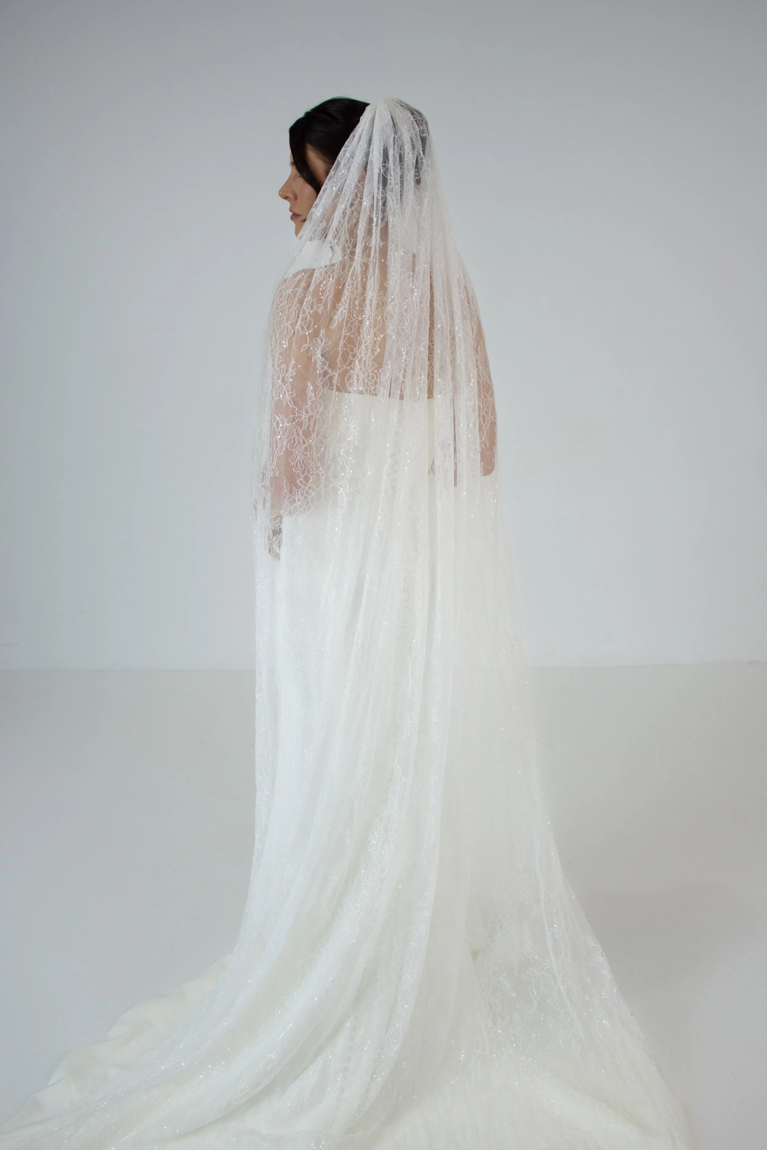 Lace Veil with Glitter