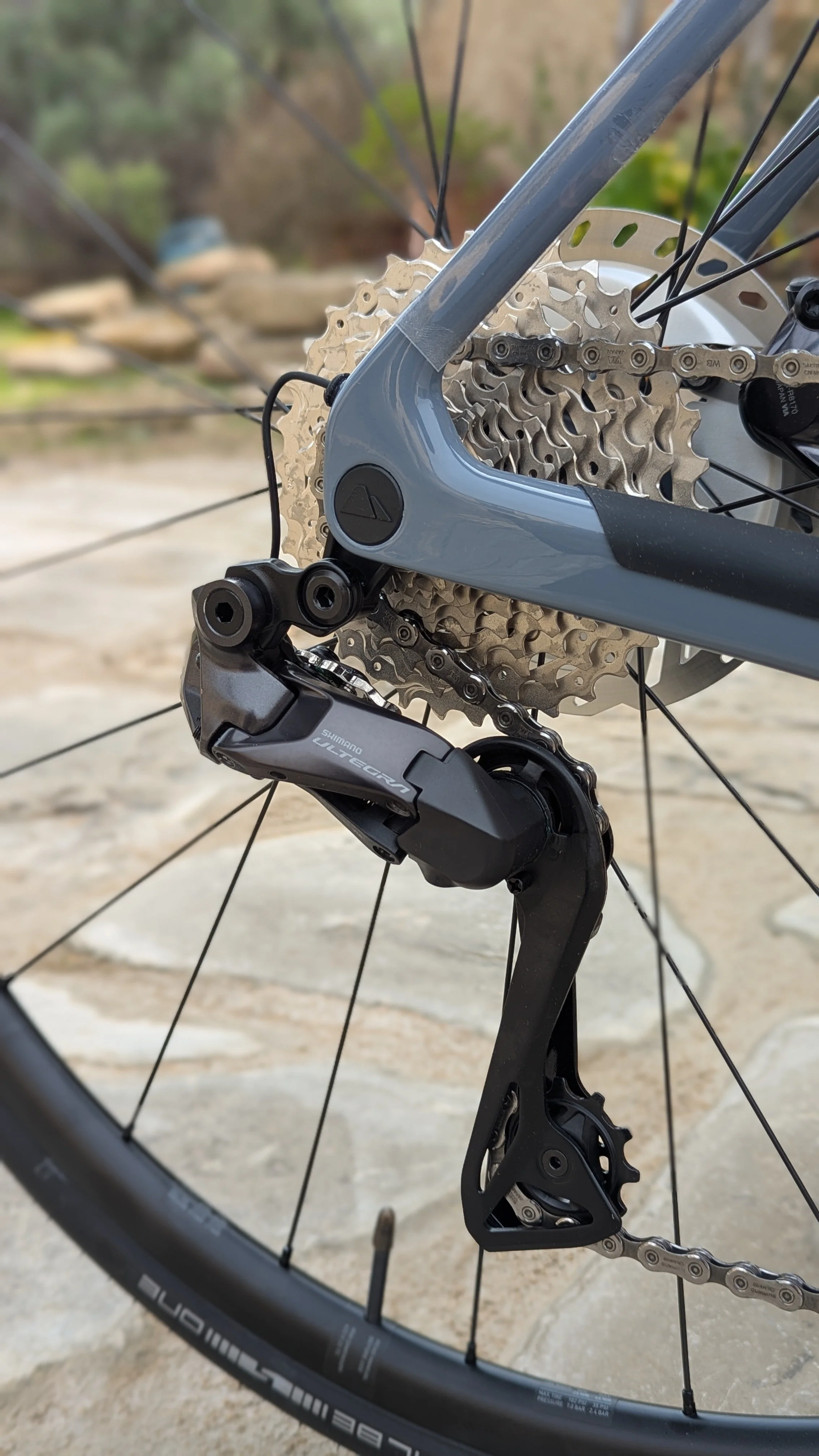 PXL_20250227_133651165.PORTRAIT (1).jpg