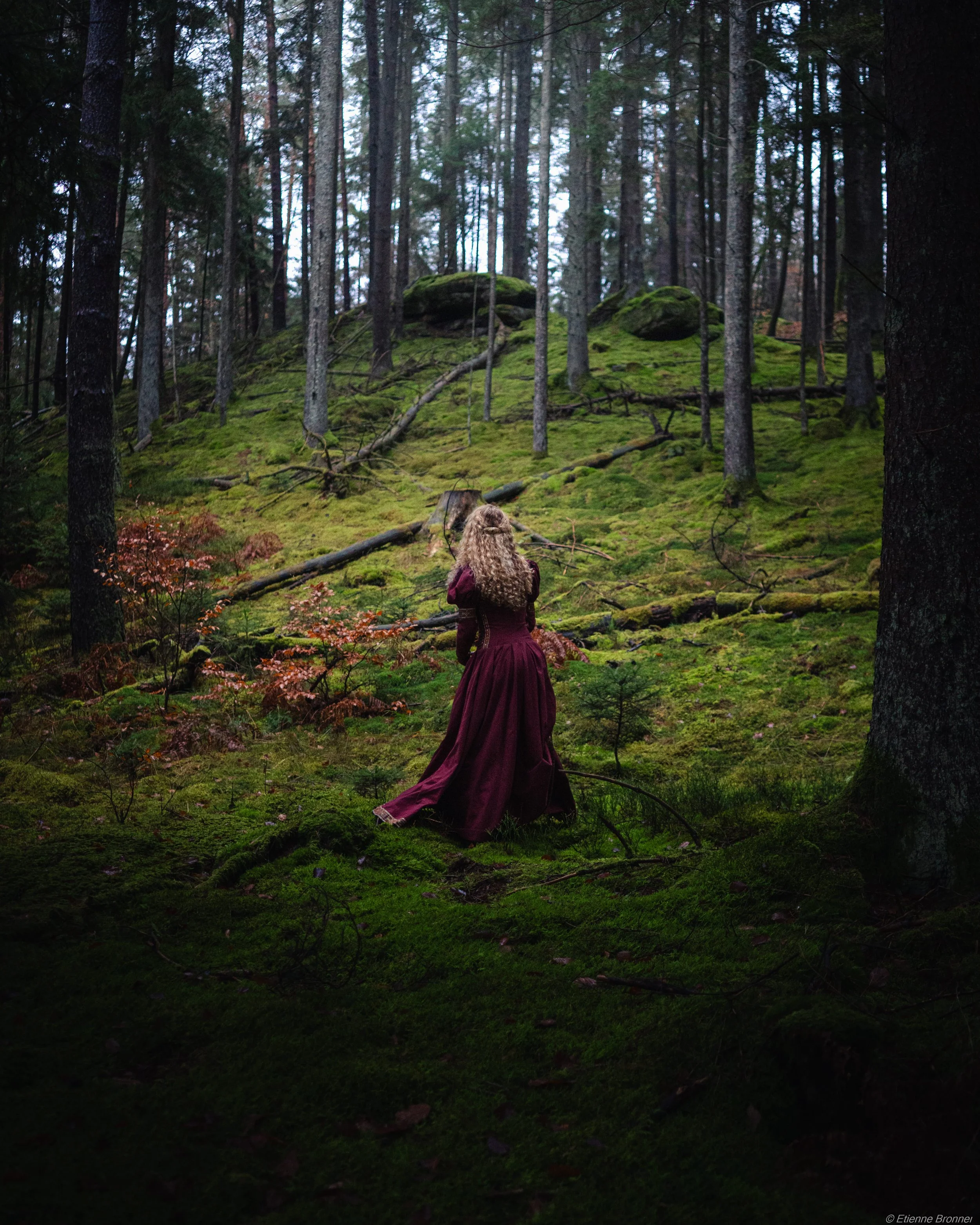 Portrait d'une femme en robe médiévale dans une forêt de pins remplie de mousses dans les Vosges du Nord