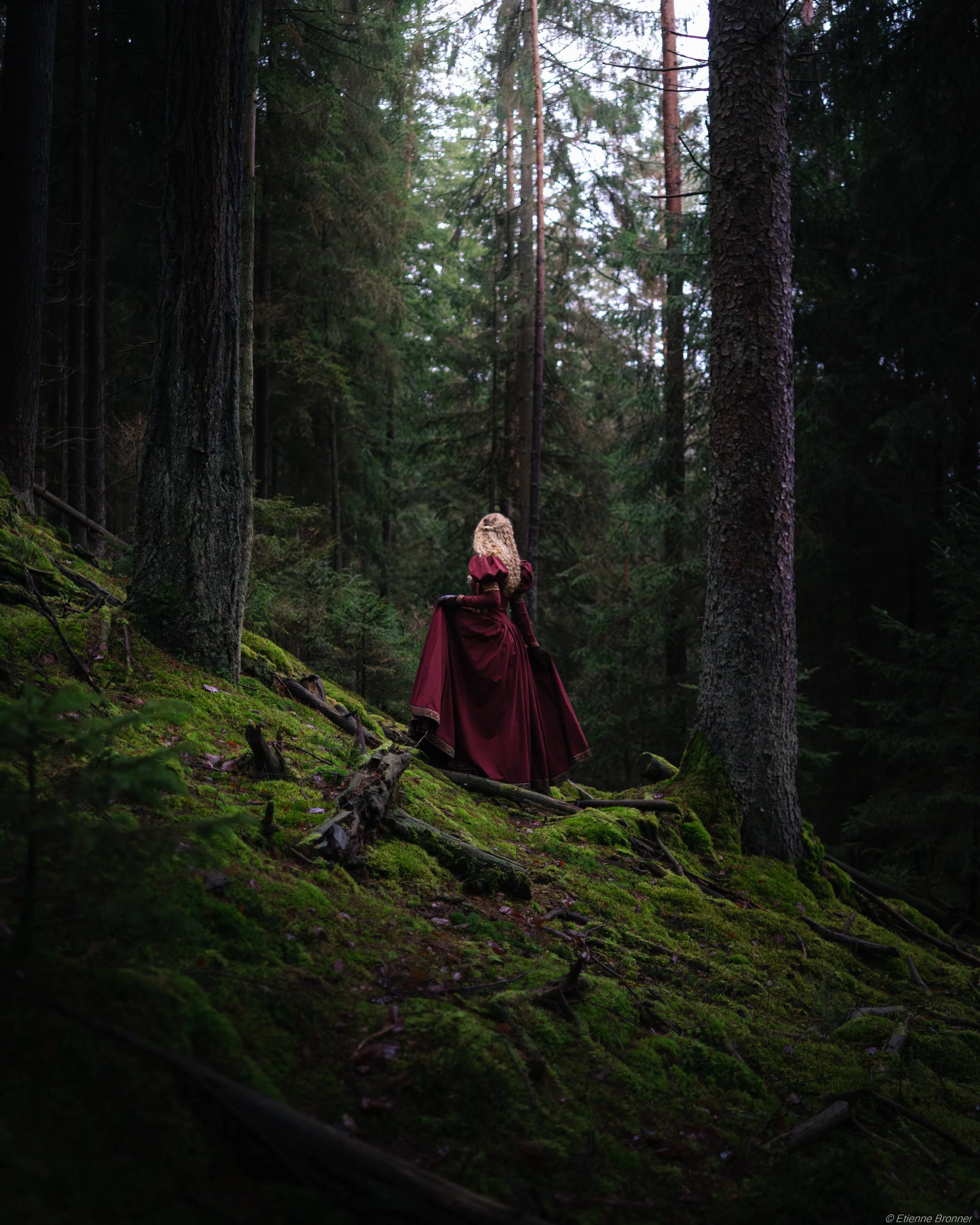 Perdus dans une forêt des Vosges du Nord avec Audrey