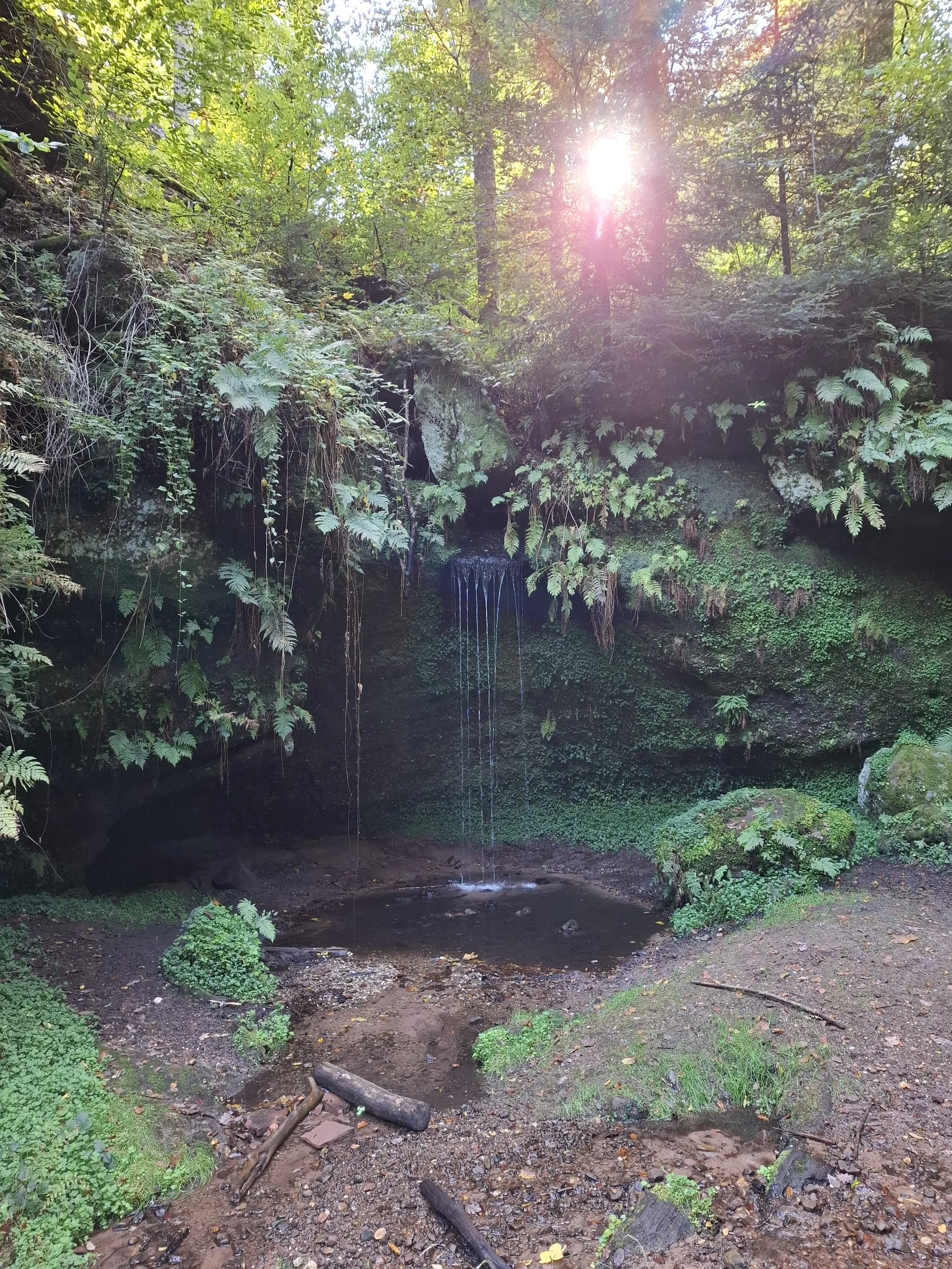 Cascade du Neubach à Bitche