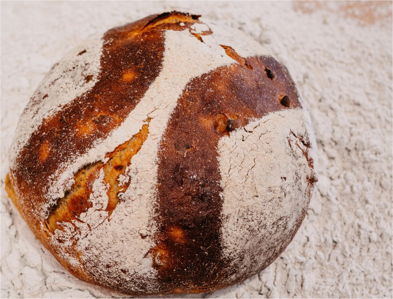 Rundes, frisch gebackenes Brot mit Mehl bestäubt auf Mehlboden