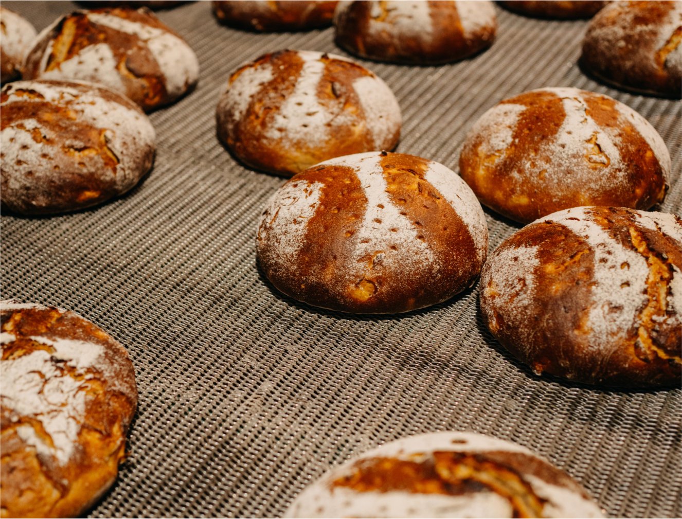 Verschiedene rustikale, gebackene Brötchen mit Mehl bestäubt auf einem Backblech.