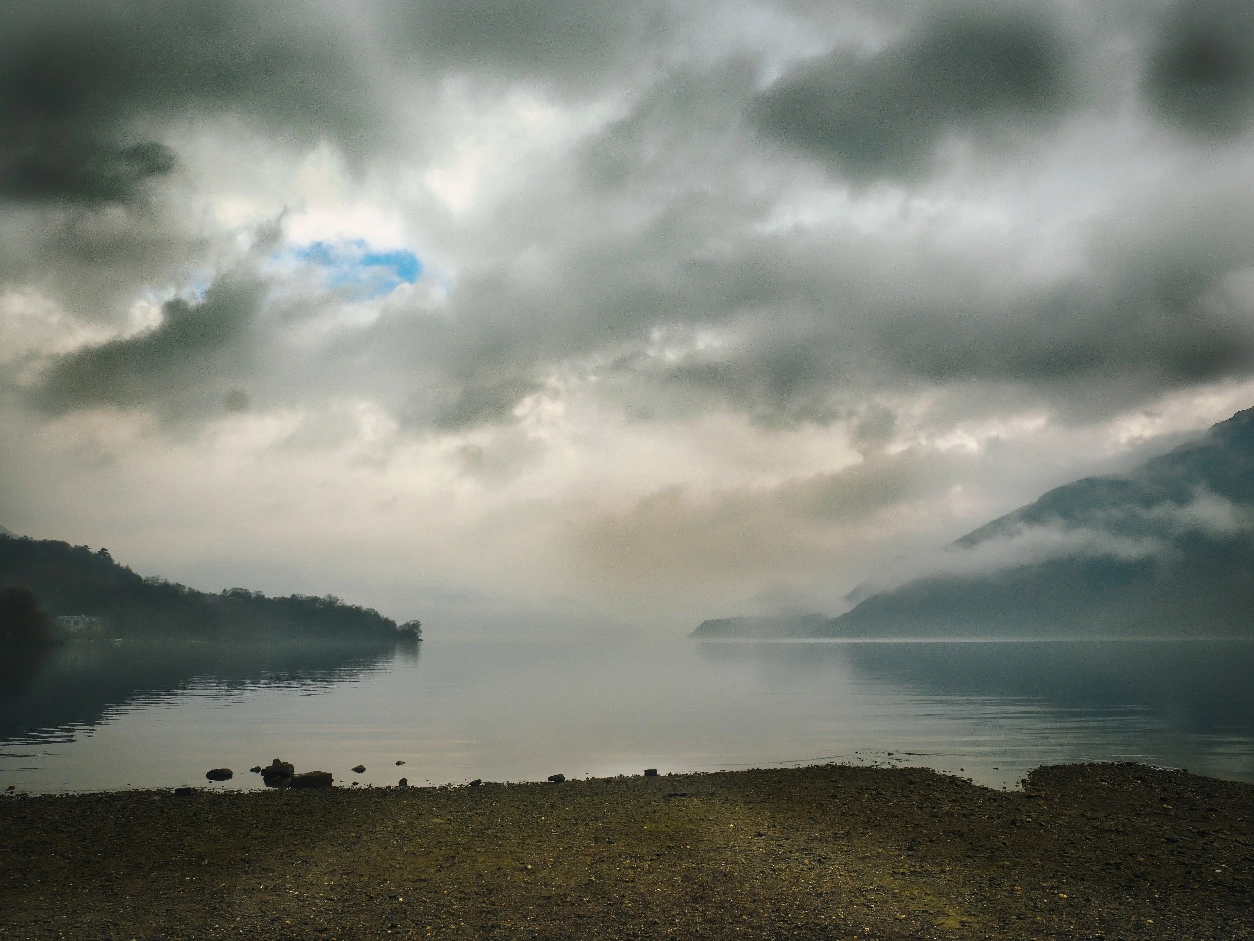 processed_33115.jpg