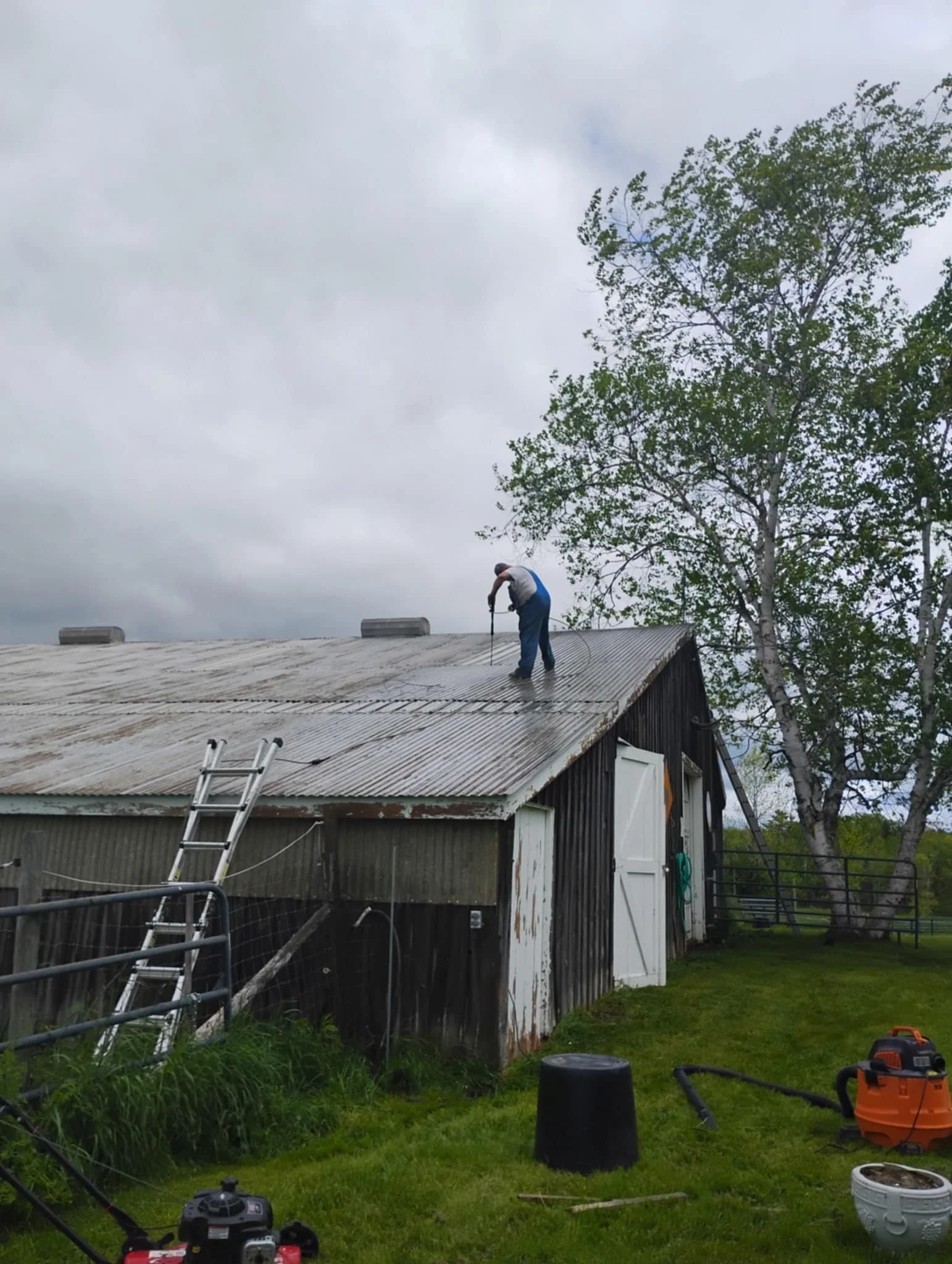 pressurewashing1.jpg