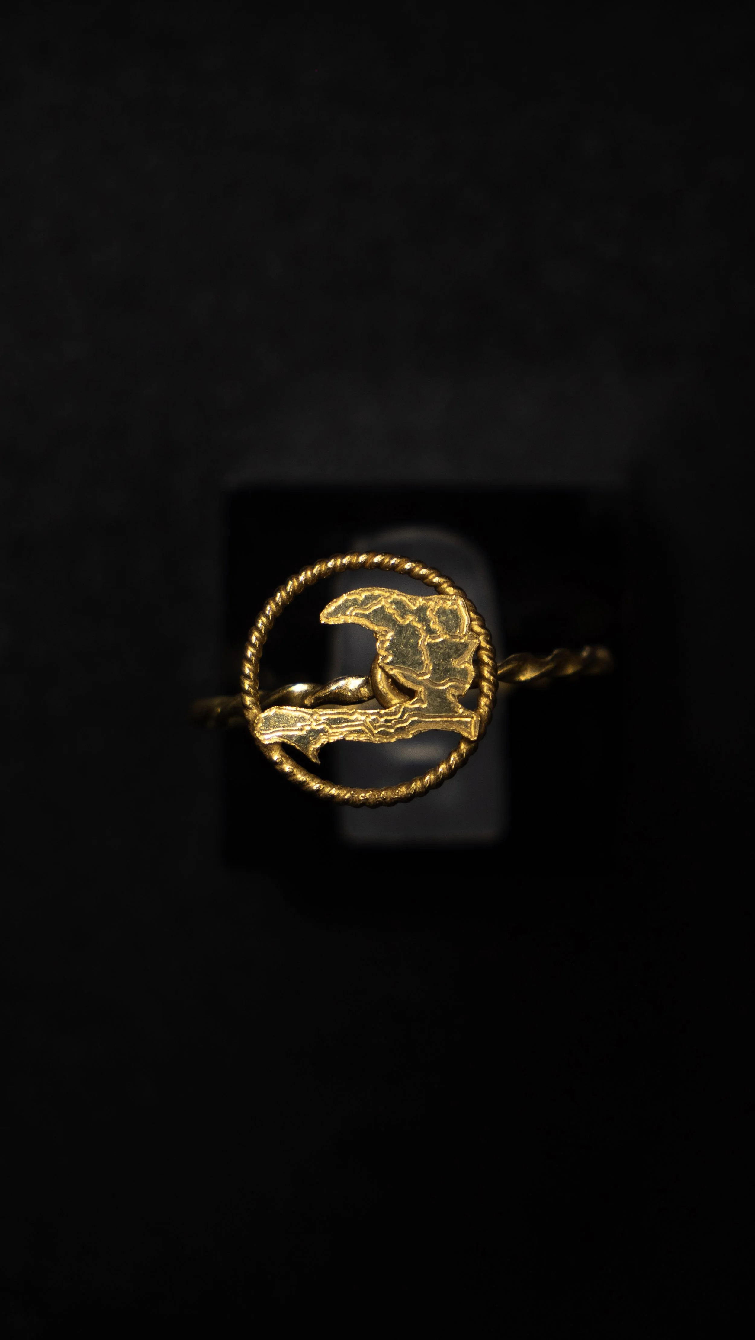 Bague femme carte Haïti cerclée