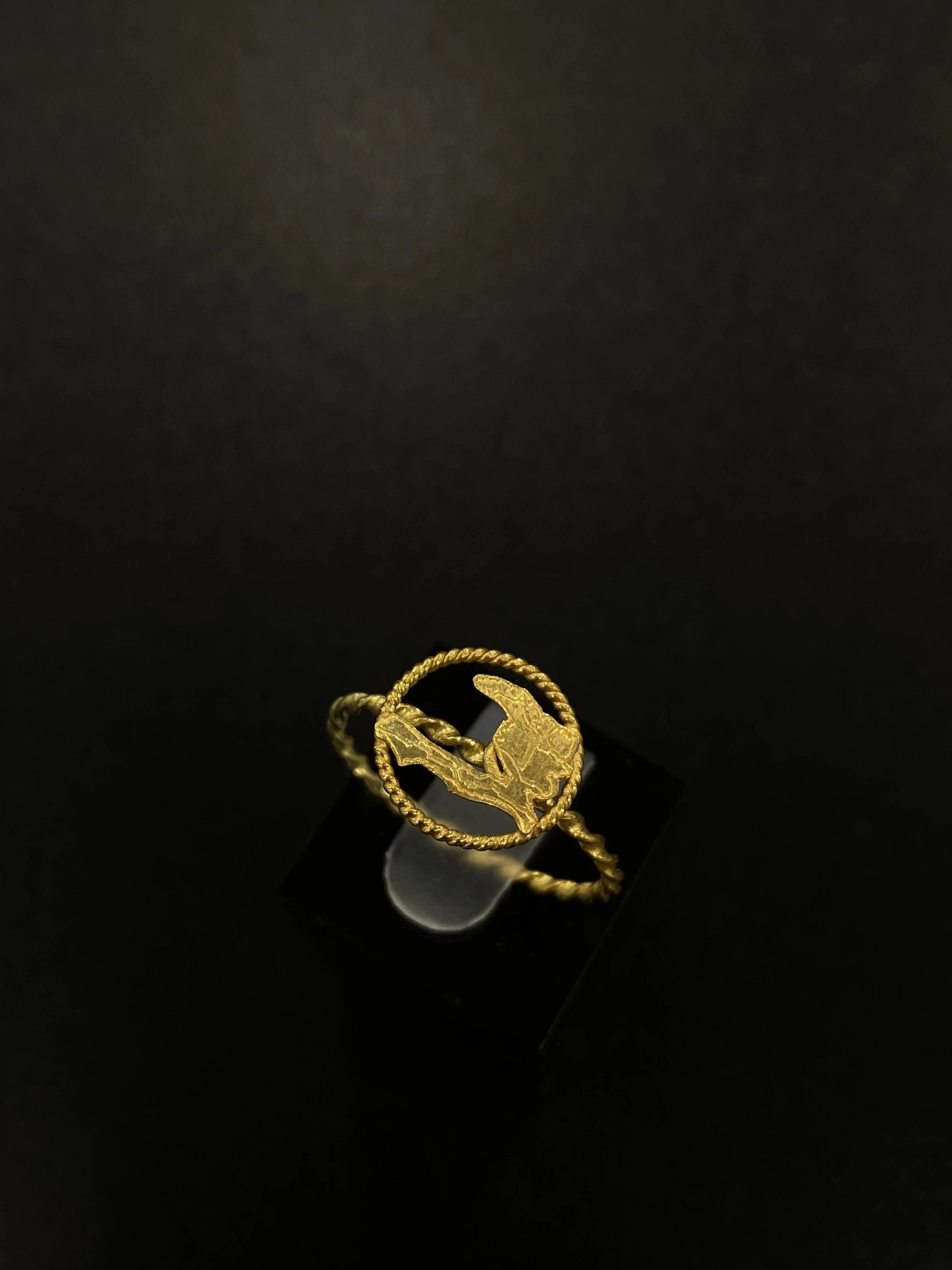 Bague femme carte Haïti cerclée