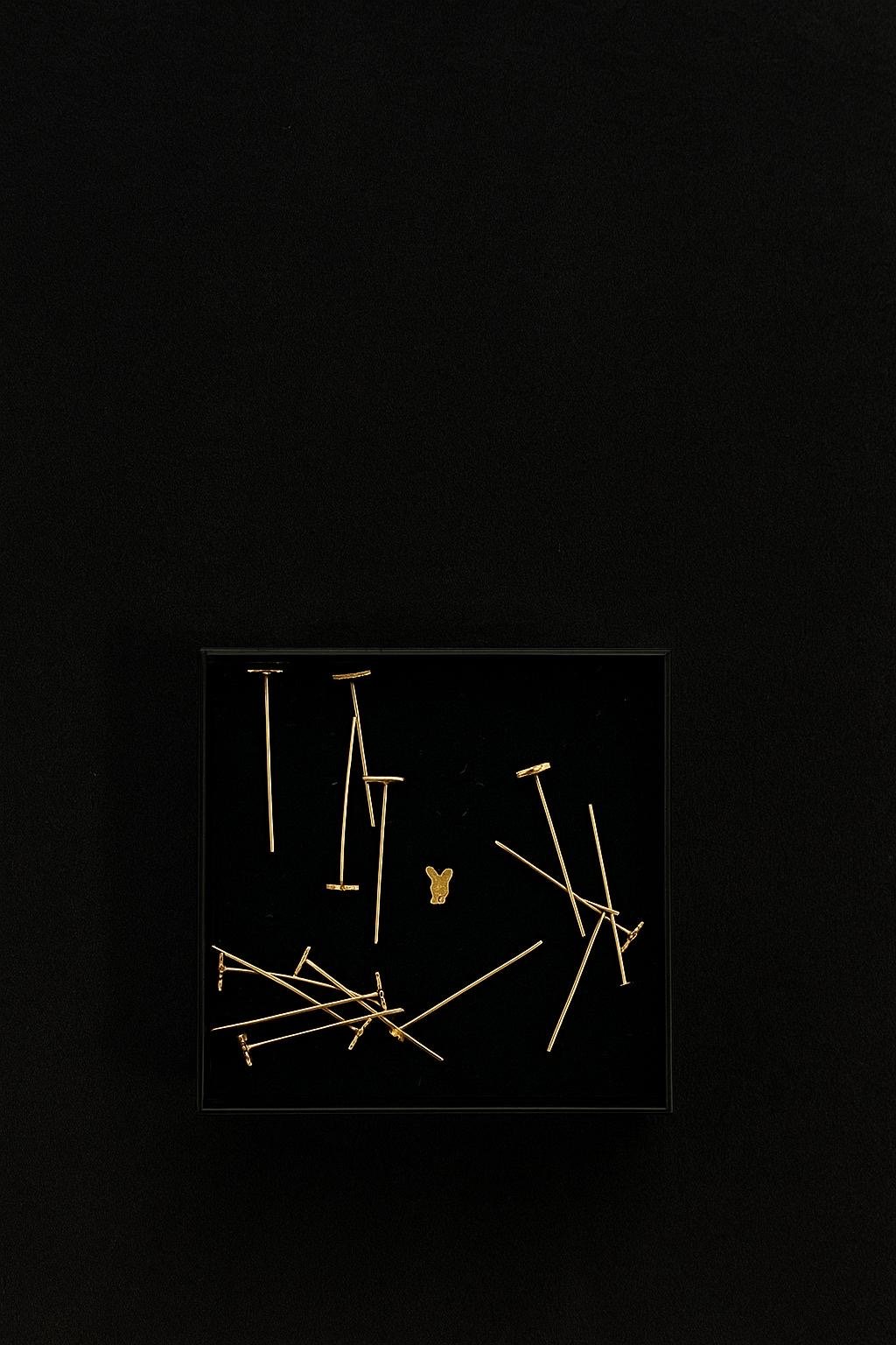 Piercing nez playboy