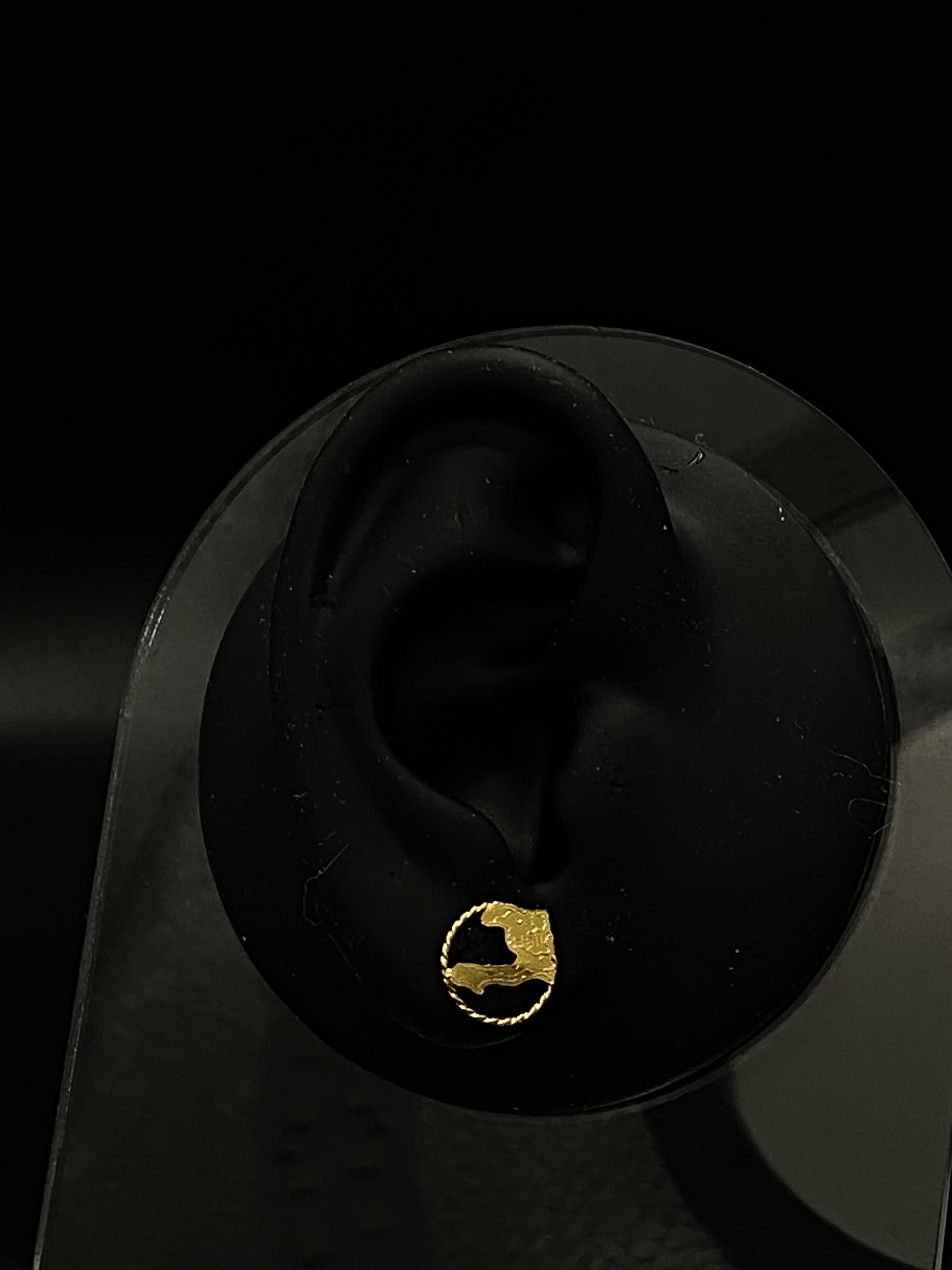 Boucle d'oreille petite carte Haïti cerclée