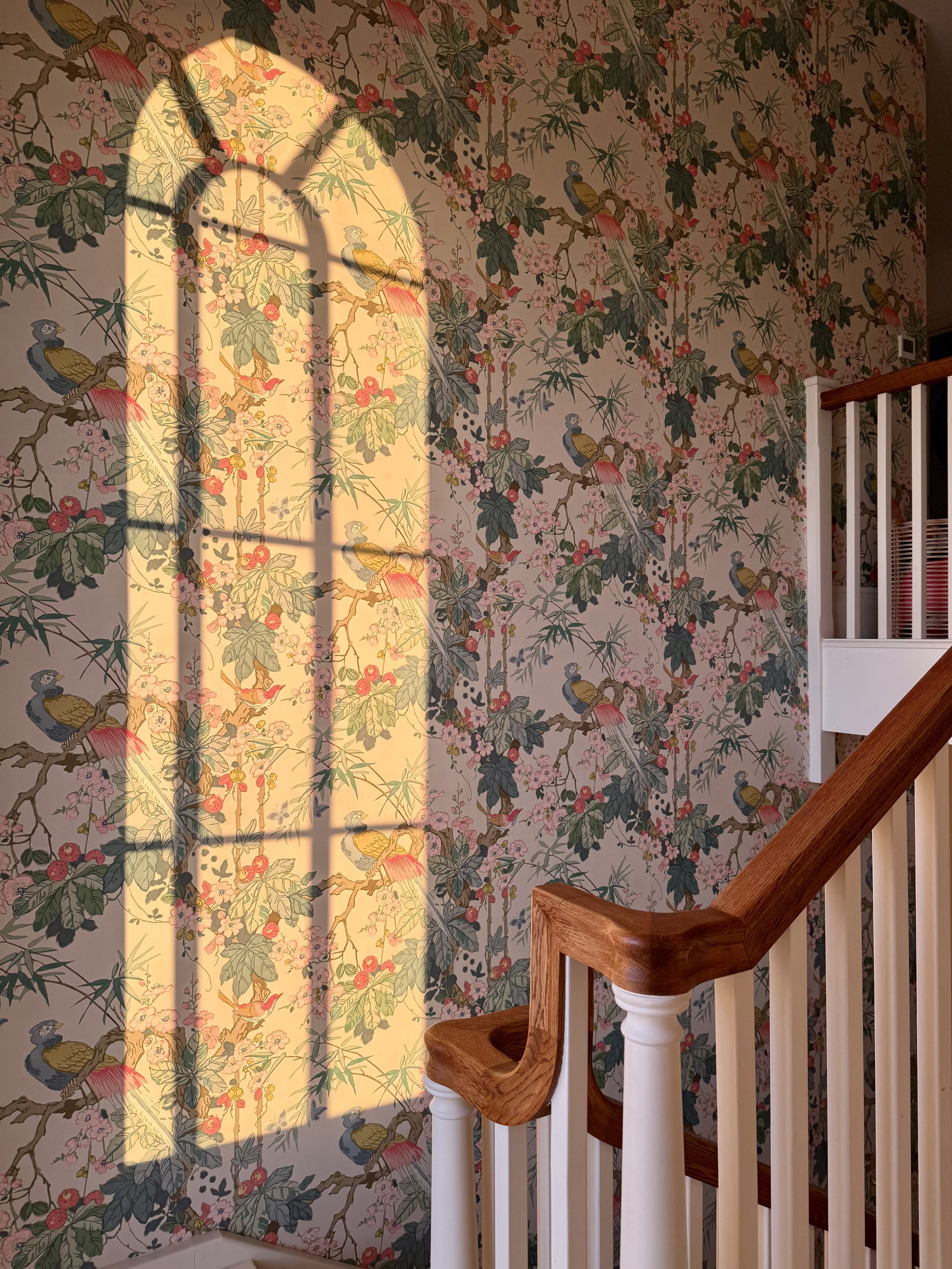 Sunlight creates a shadow of a window frame on a wallpapered wall with a bird and branch pattern.