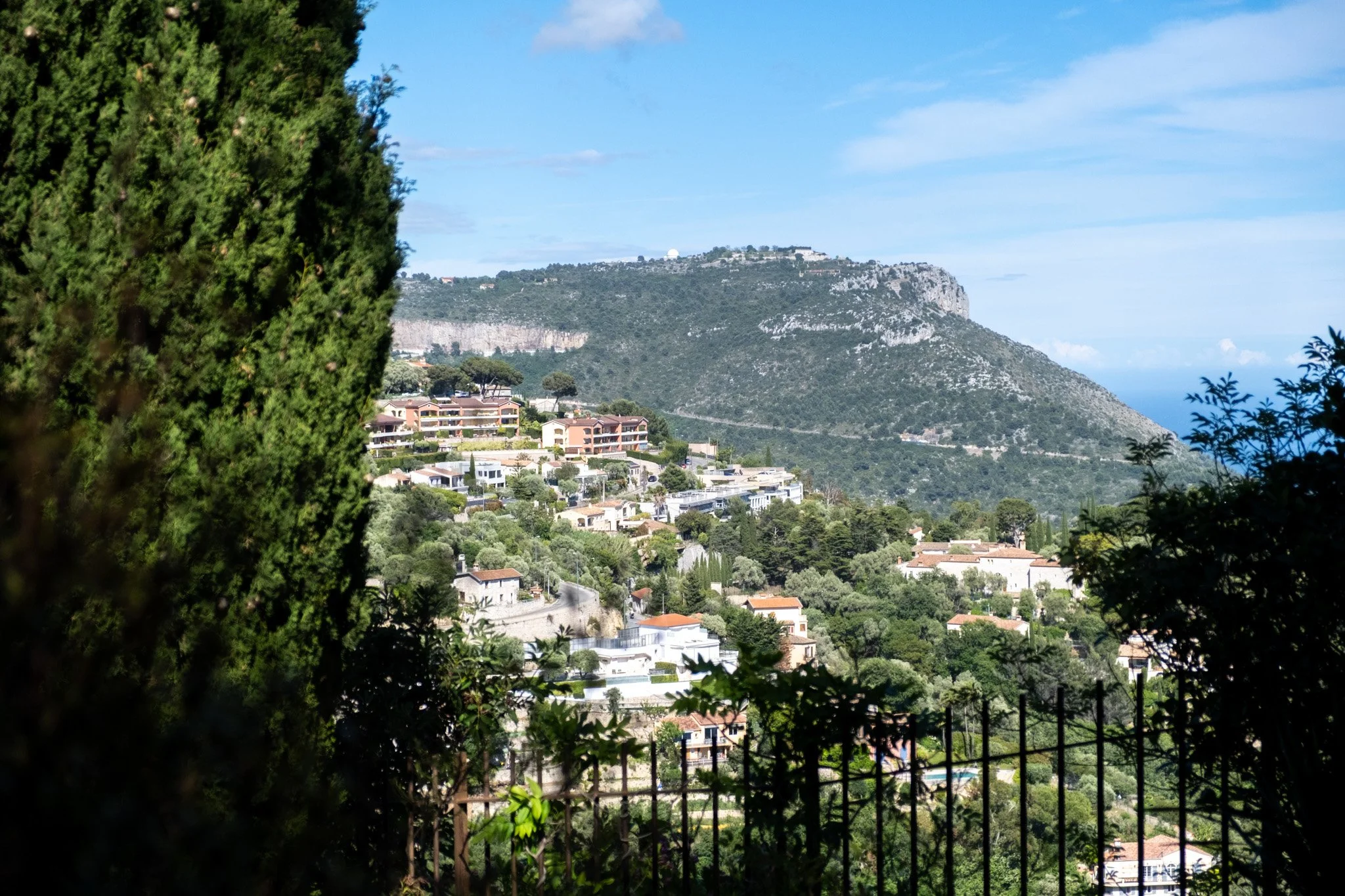 DSCF7840.jpg