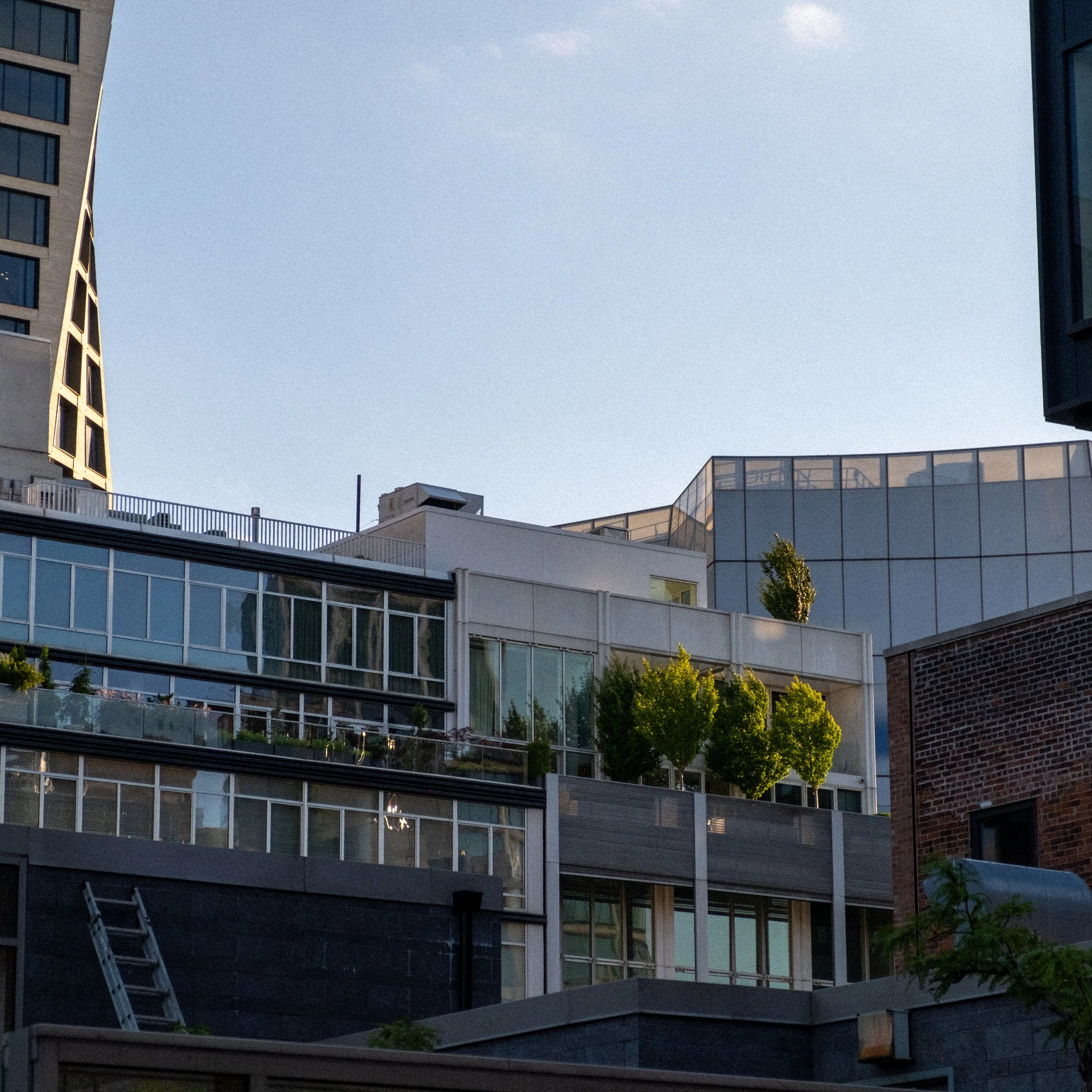 DSCF3716-2.jpg
