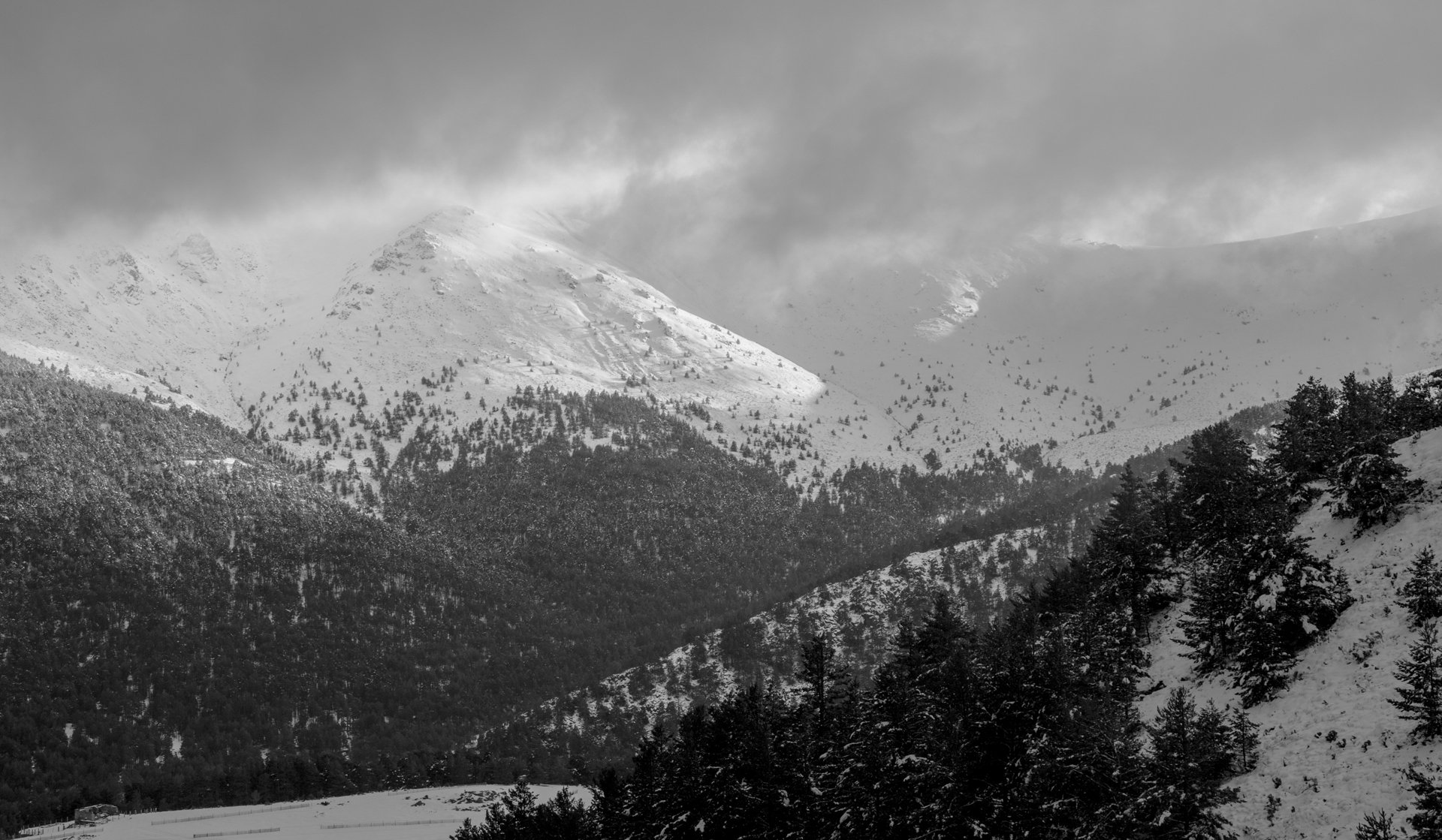 Snow-covered mountain range with pine trees and cloudy sky in black and white