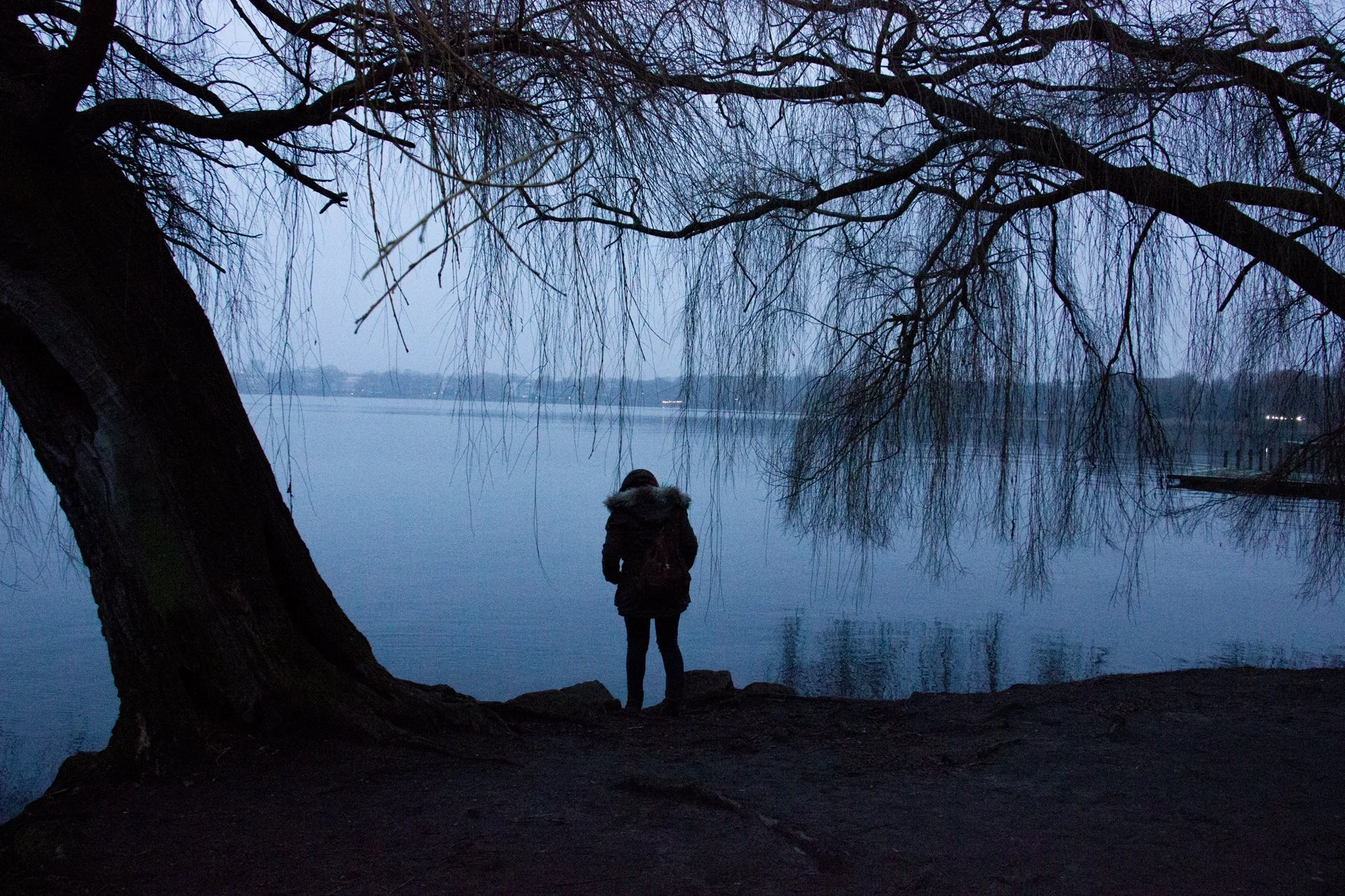 Person standing by a lake at dusk, framed by a large, leafless tree with hanging branches.