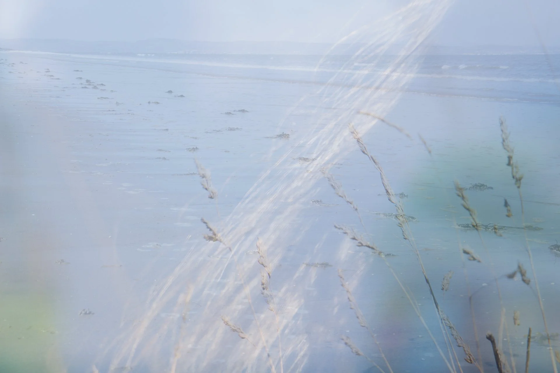 A landscape of a body of water with tall grasses in the foreground, under a cloudy sky.