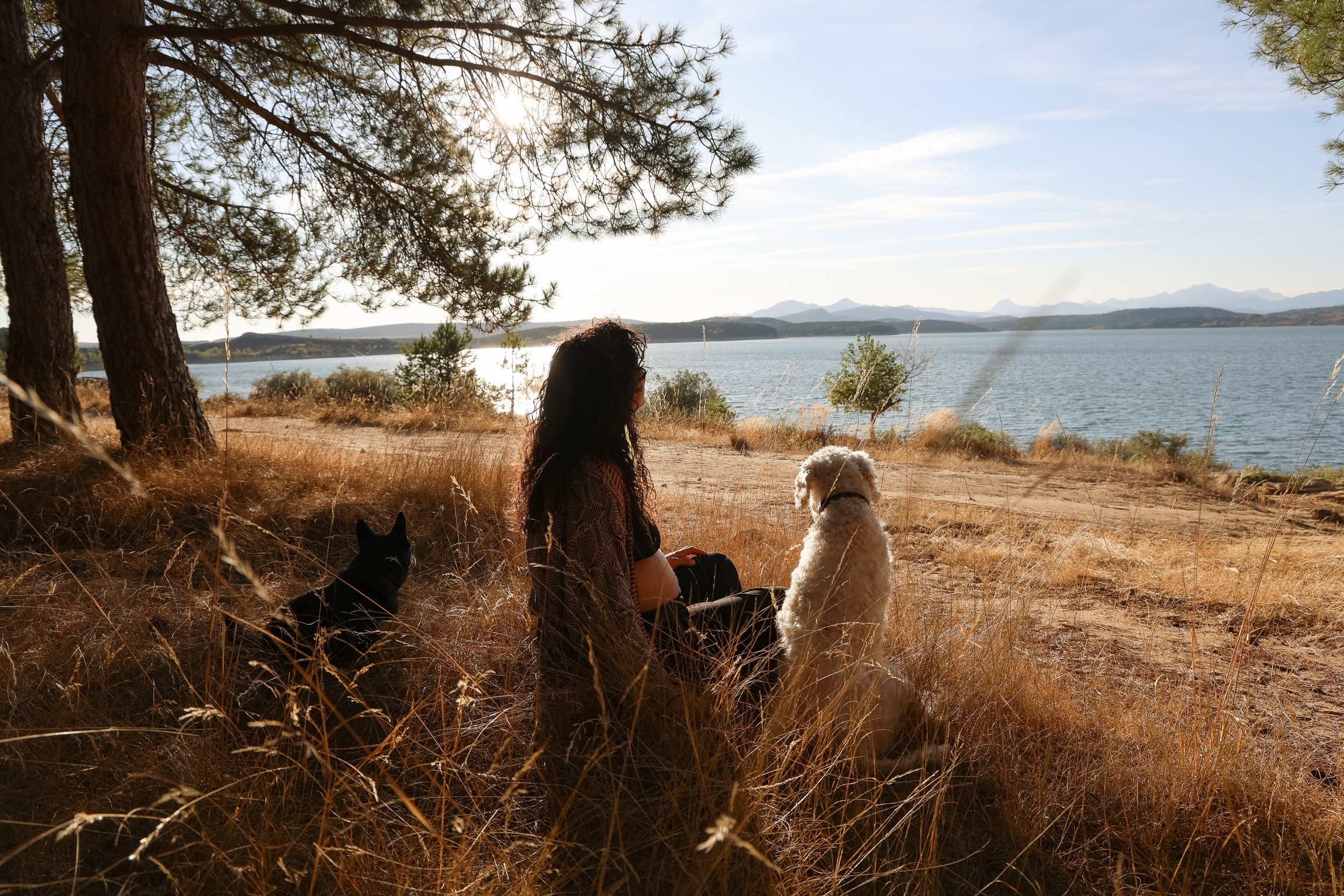 A woman sitting on the ground with a black cat and a white dog beside her, near a body of water with trees and mountains in the background, during sunset.