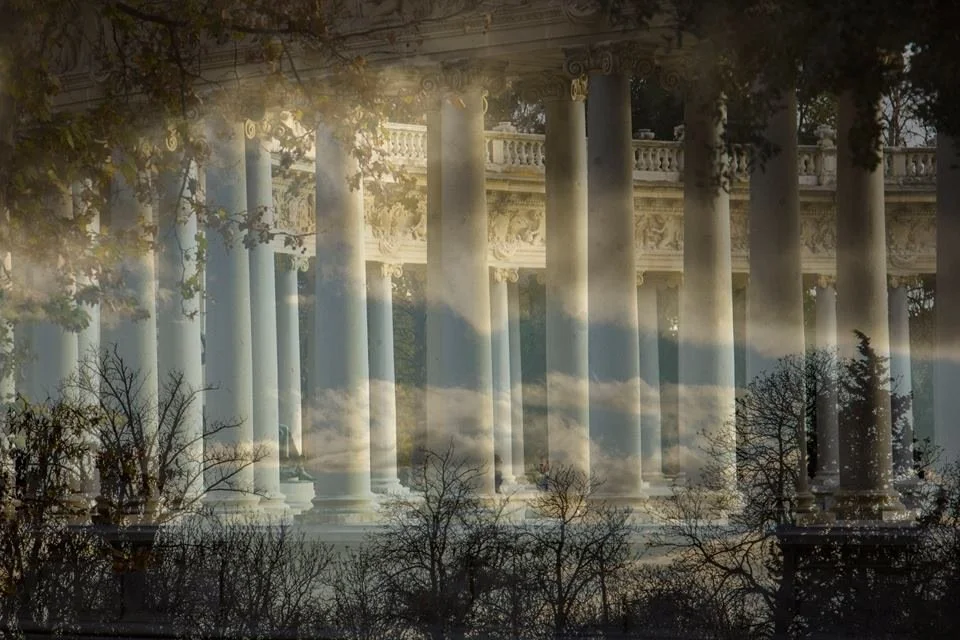 An artistic photo blending a row of classical columns with a view of a cloudy sky and tree branches.