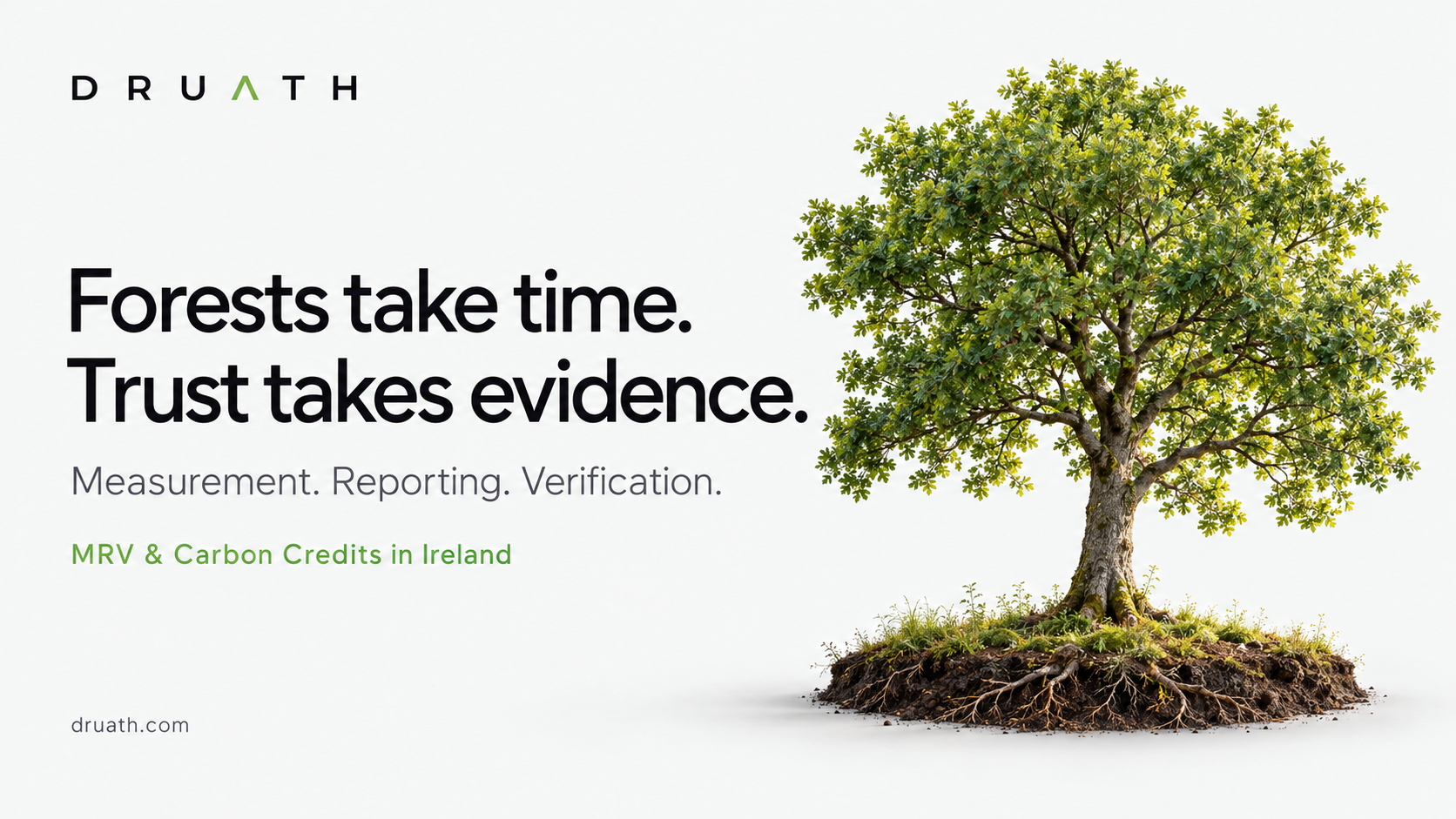 Measure, Report, Verify. 