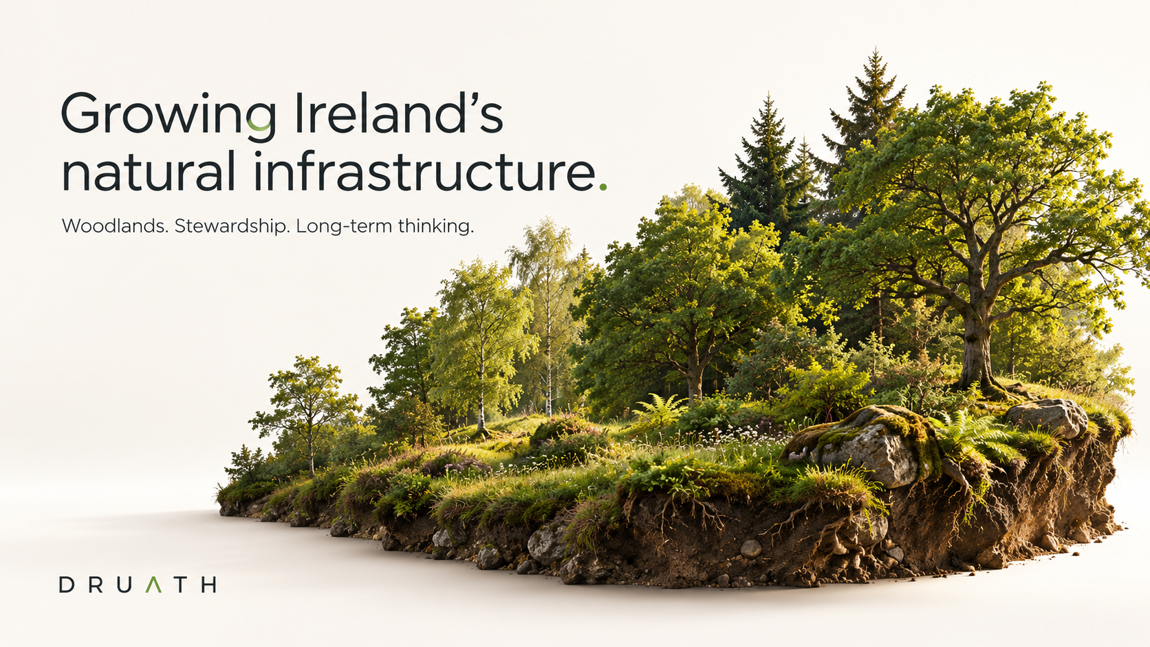 Growing Ireland’s Natural Infrastructure