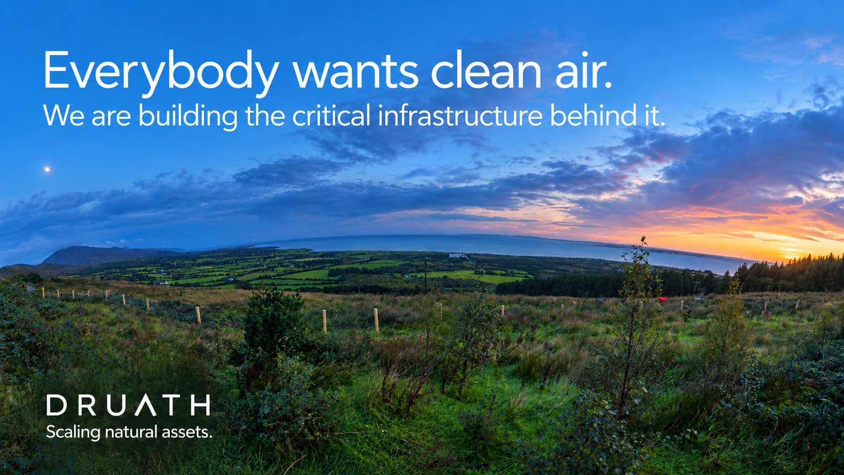Forests as Critical Infrastructure: The Long-Term Value of Native Woodland Ownership