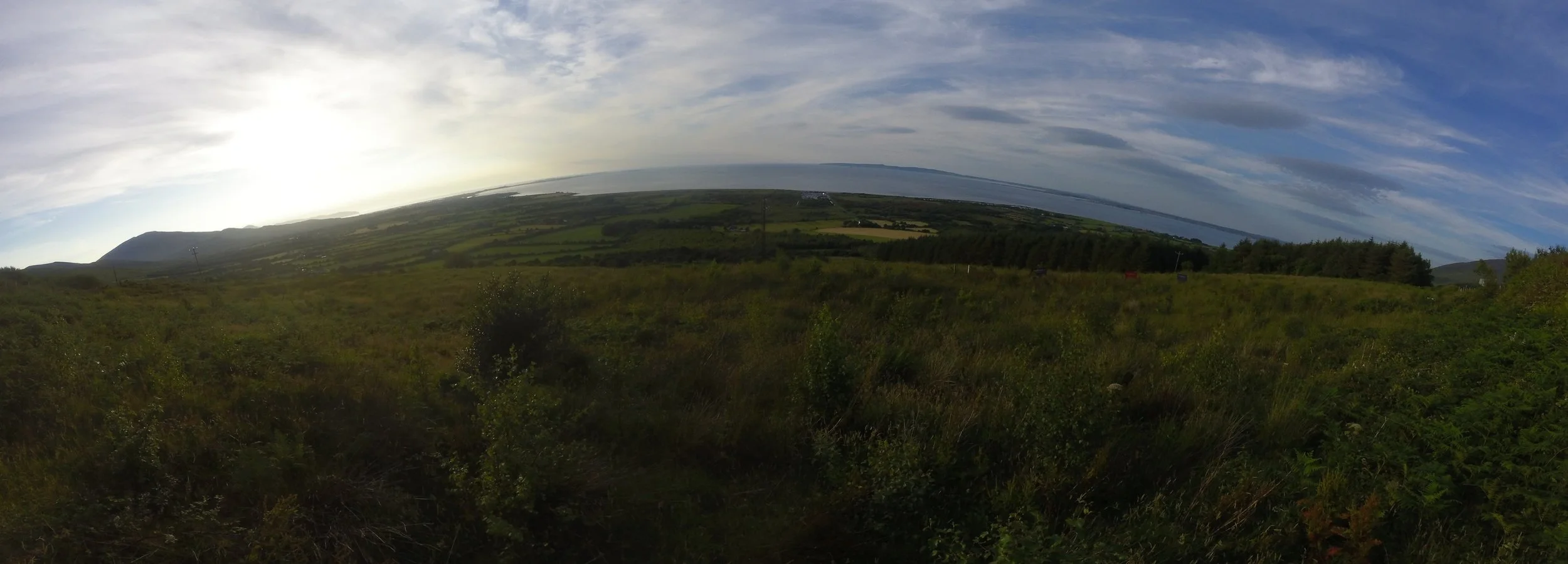 The sun setting over a native woodland On Irelands West Coast