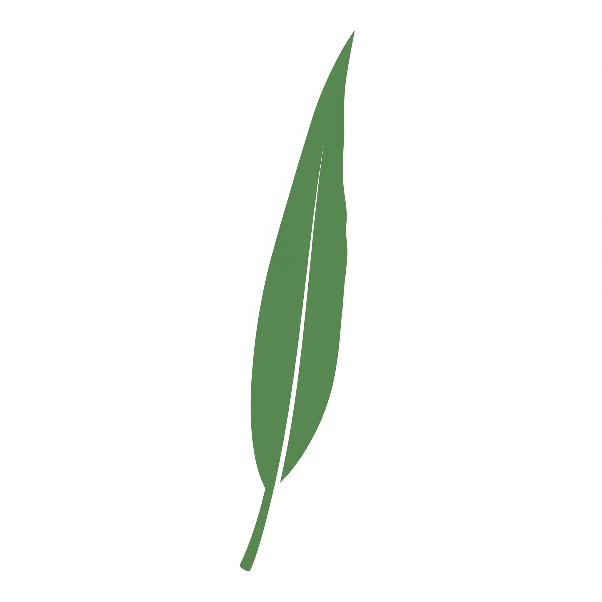 willow leaf icon