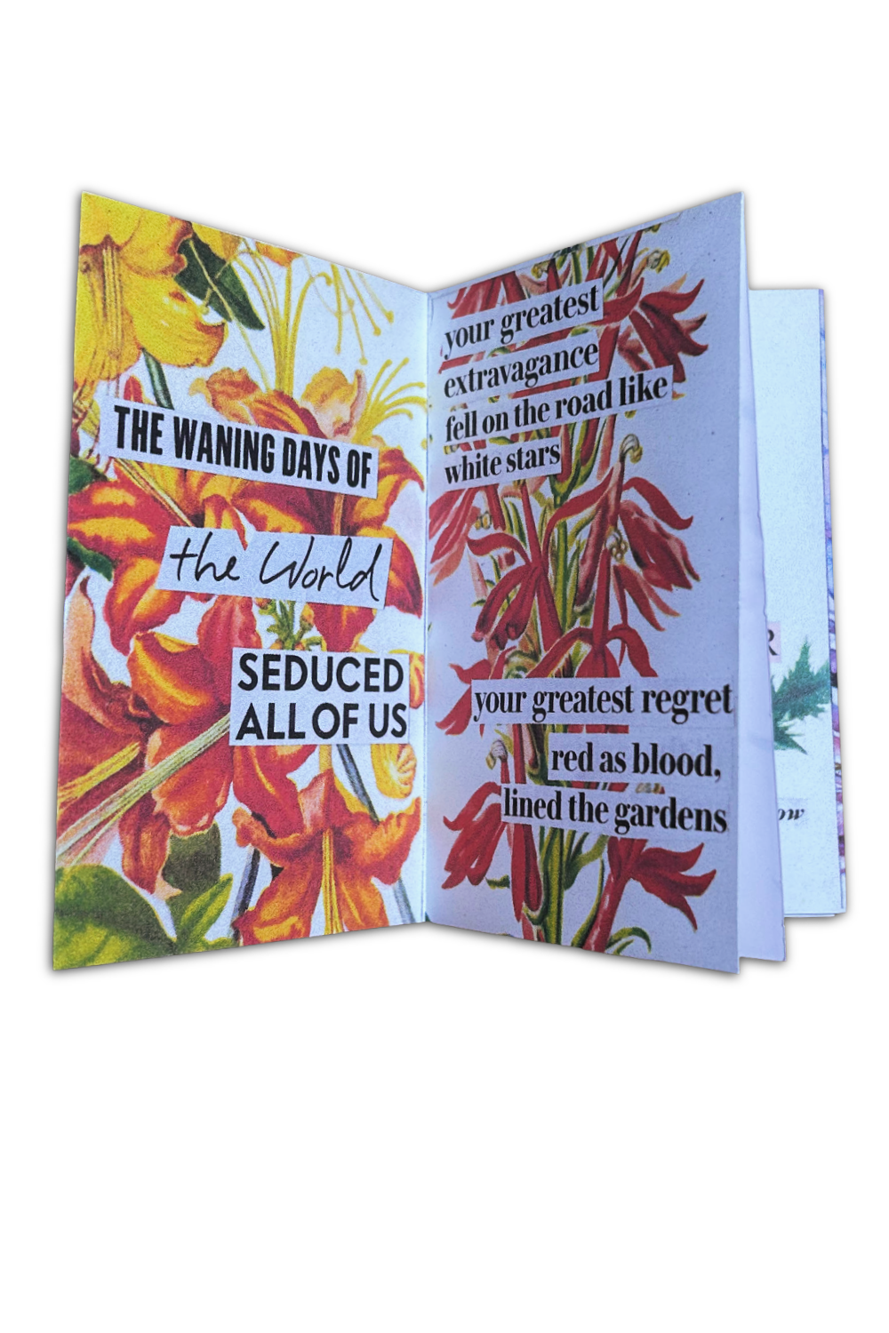 Product & Cover images for web-67.png