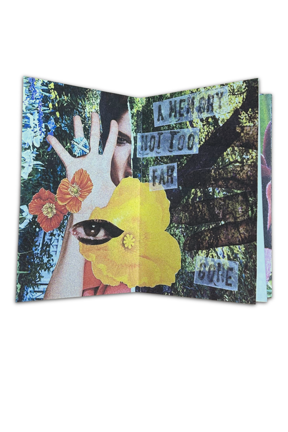 Product & Cover images for web-68.png