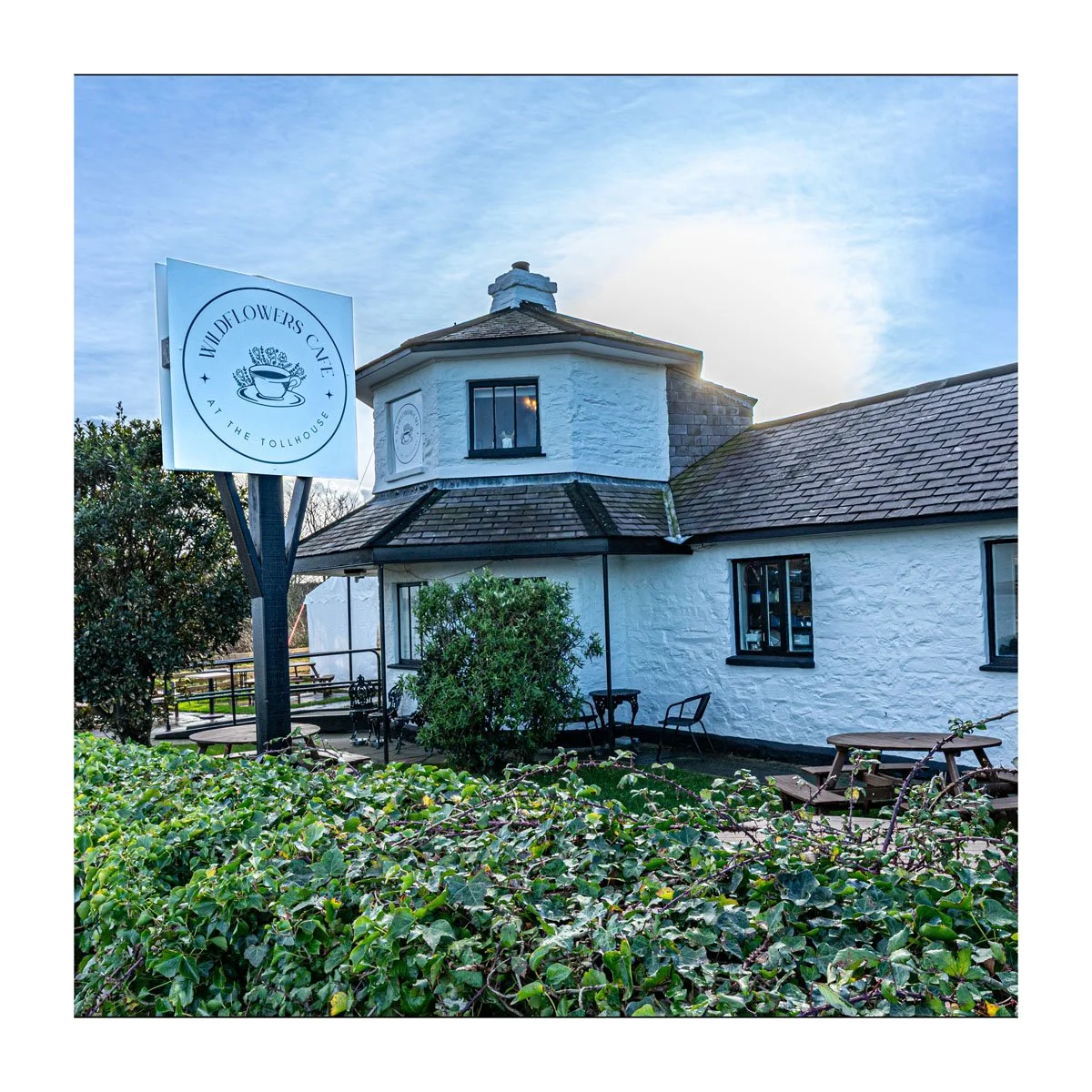 Anglesey greeting card. Wildflower cafe. Penrhos.jpg