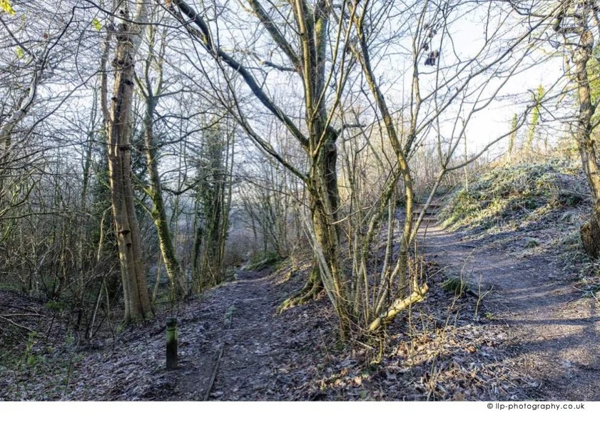 Poynton_DA4_2027 March.jpg