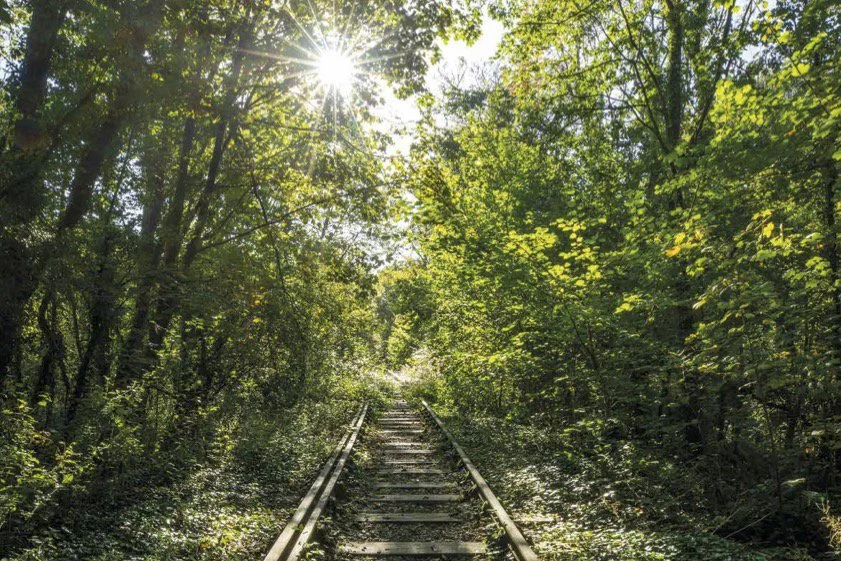 Anglesey July 2026 copy.jpg