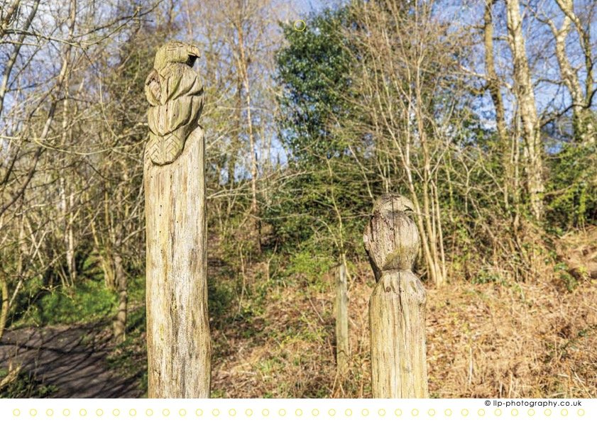 Poynton 2026 Feb.jpg