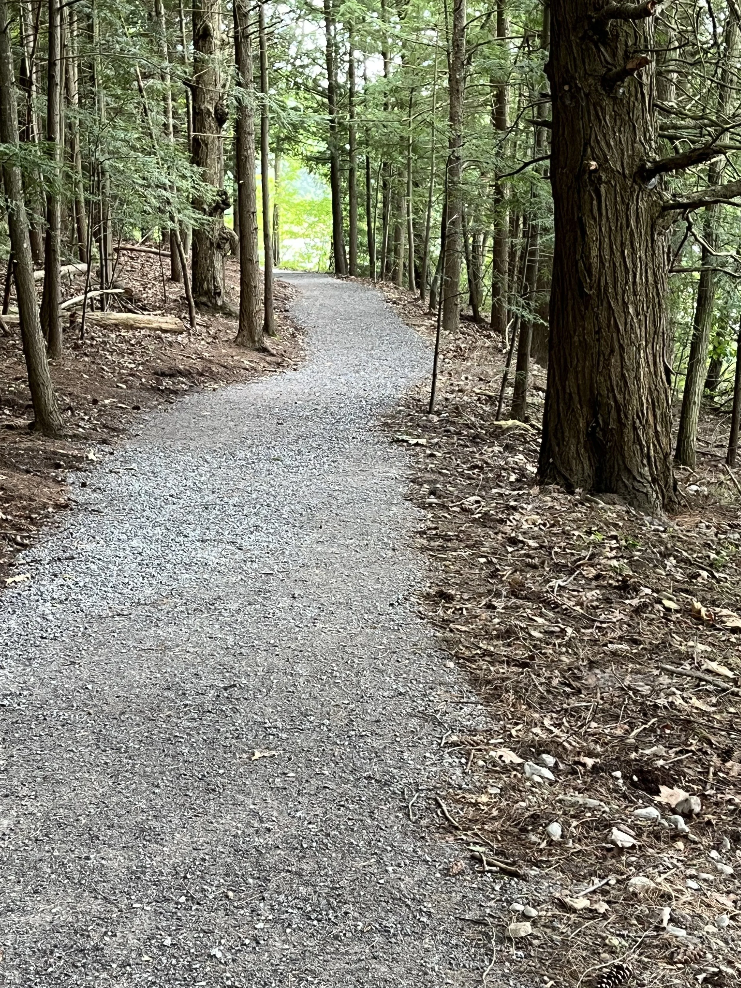 Trail Building