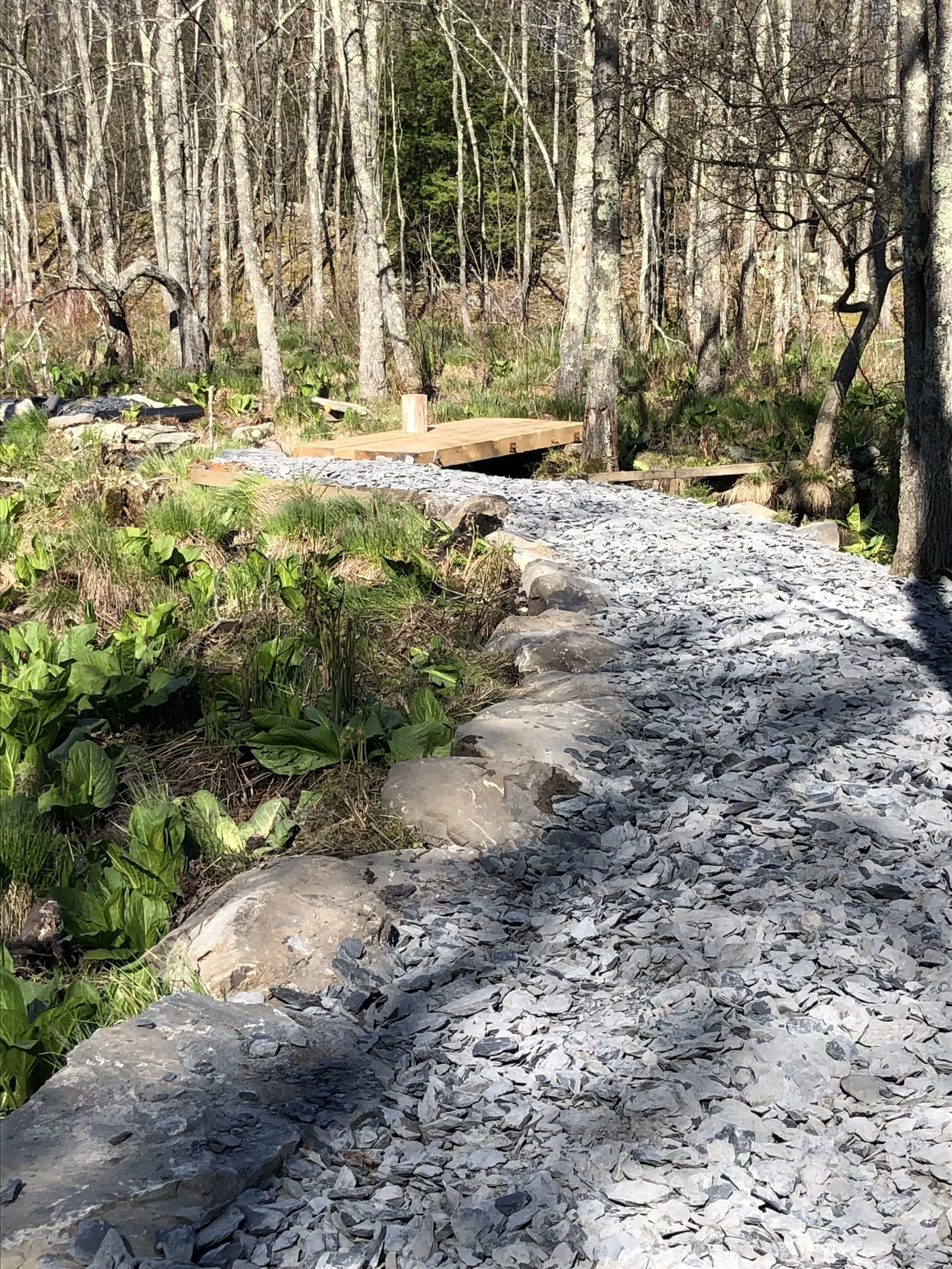 Rock Pathway