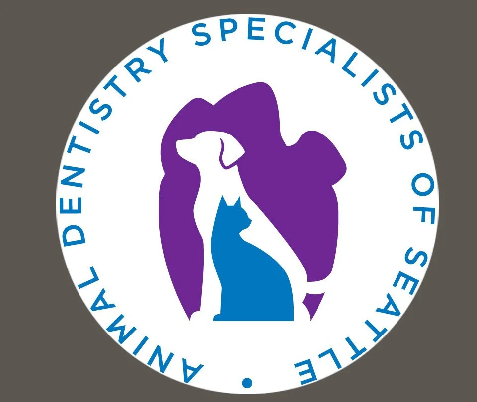 Animal Dentistry Specialists of Seattle