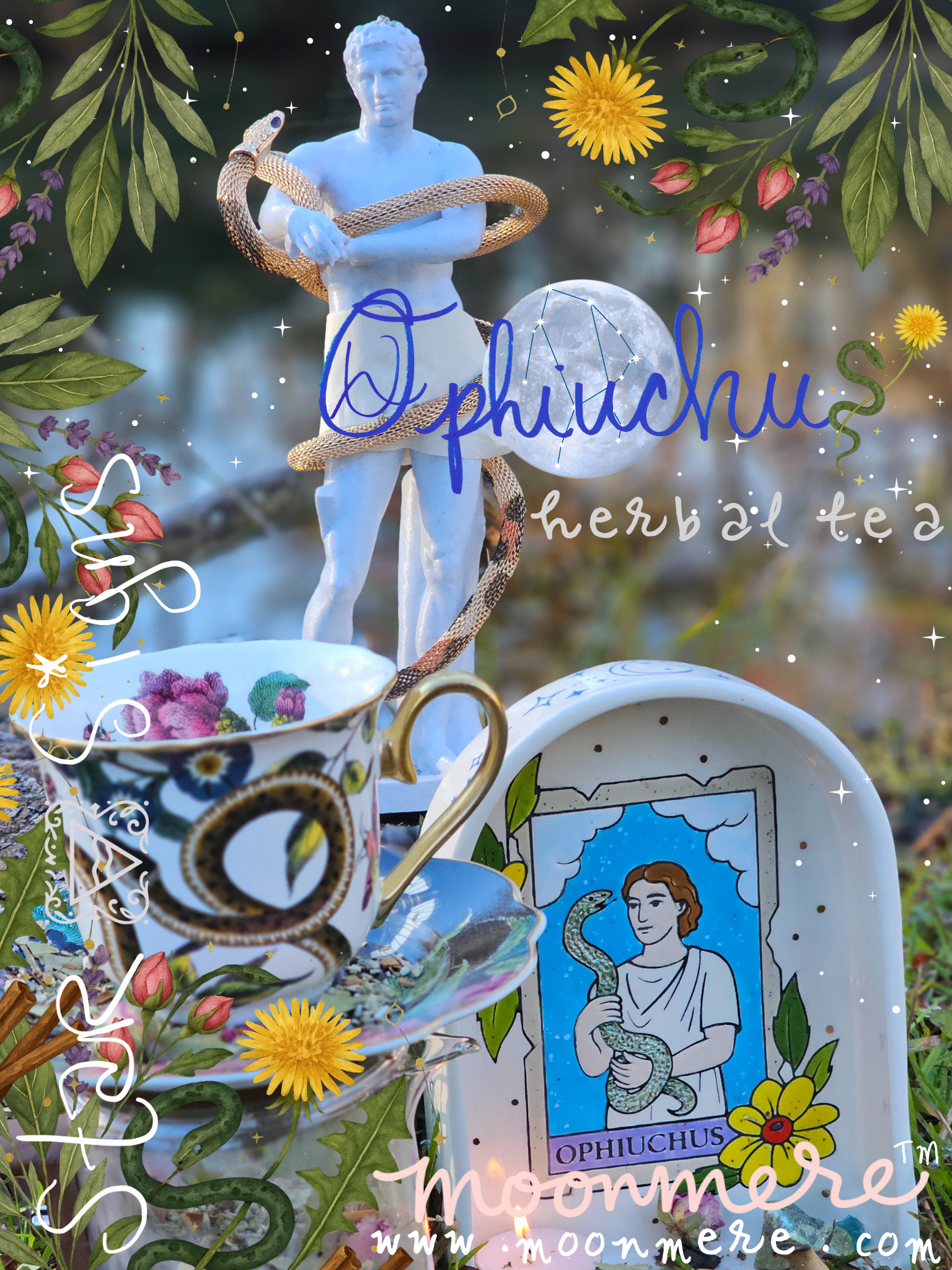 Ophiuchus Foto _20251128_140118_0000.png