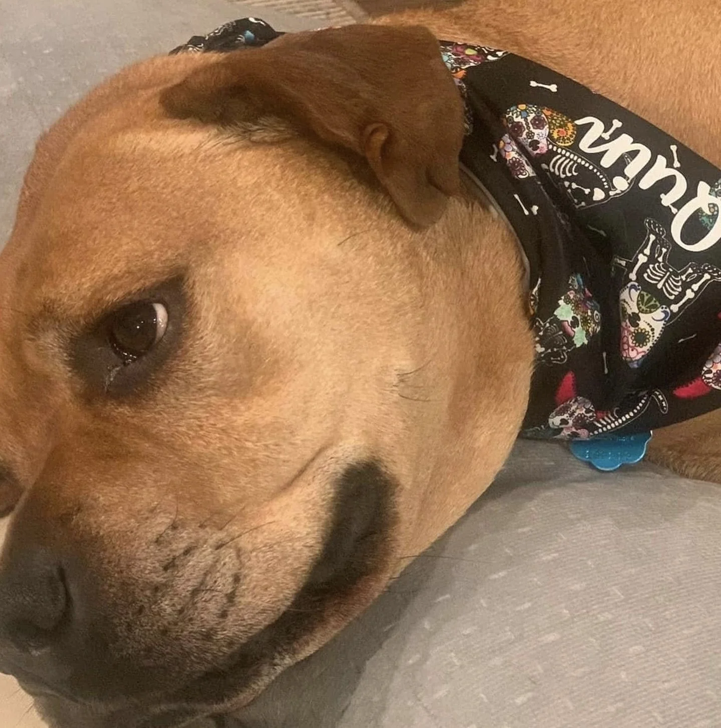 Photo Dec 07 2025, 8 42 43 PM (4).jpg