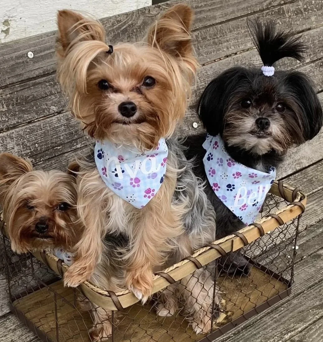 Photo Dec 07 2025, 9 21 47 PM.jpg