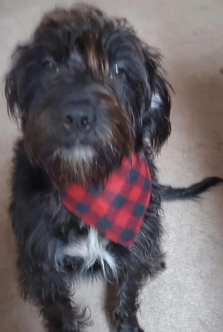 Photo Dec 07 2025, 8 42 43 PM (15).jpg