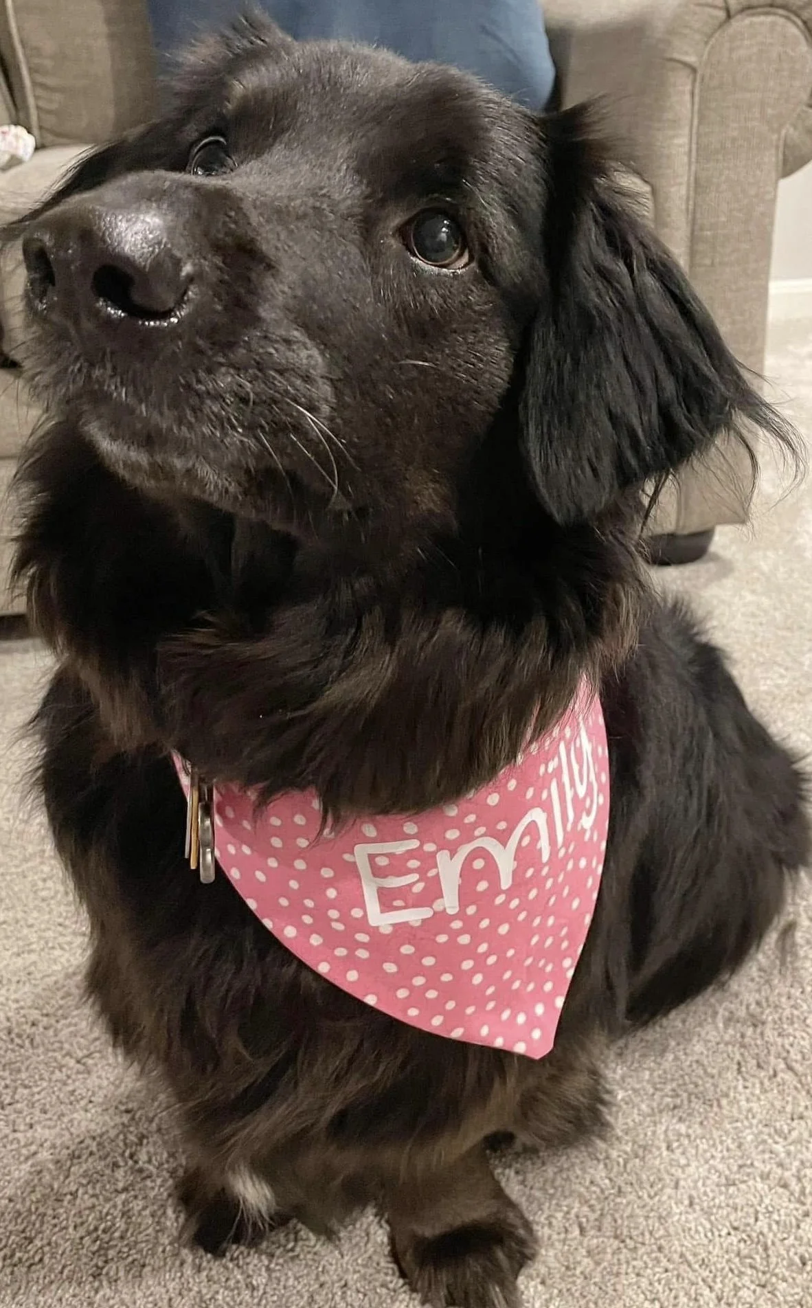 Photo Dec 07 2025, 8 46 24 PM (3).jpg