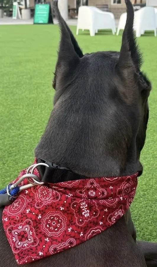 Photo Dec 08 2025, 4 47 44 PM (7).jpg