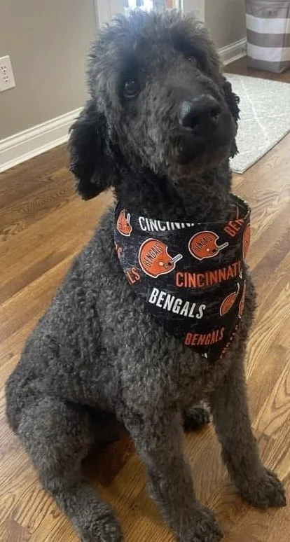 Photo Dec 07 2025, 9 21 47 PM (4).jpg